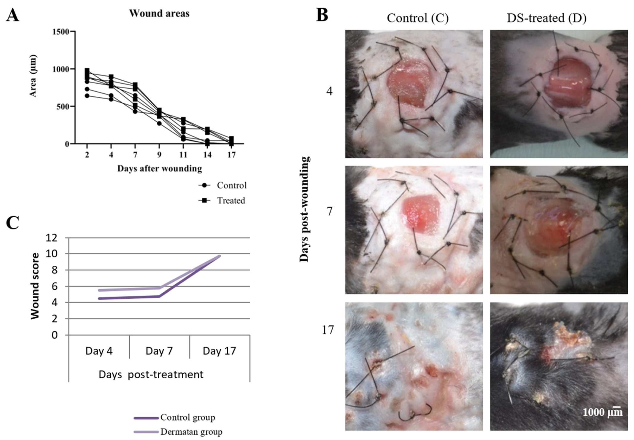 Marinedrugs 20 00676 g005