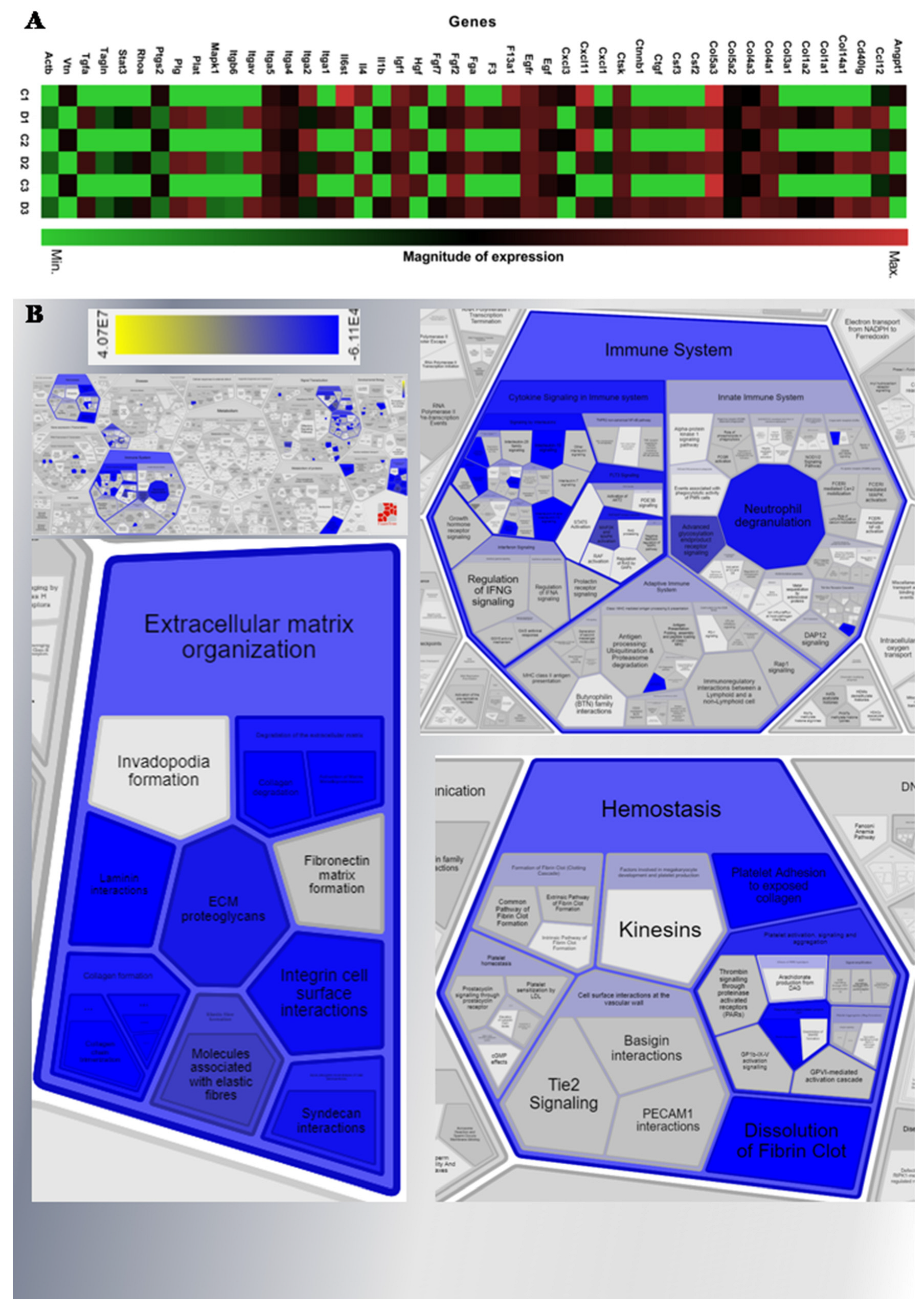 Marinedrugs 20 00676 g007