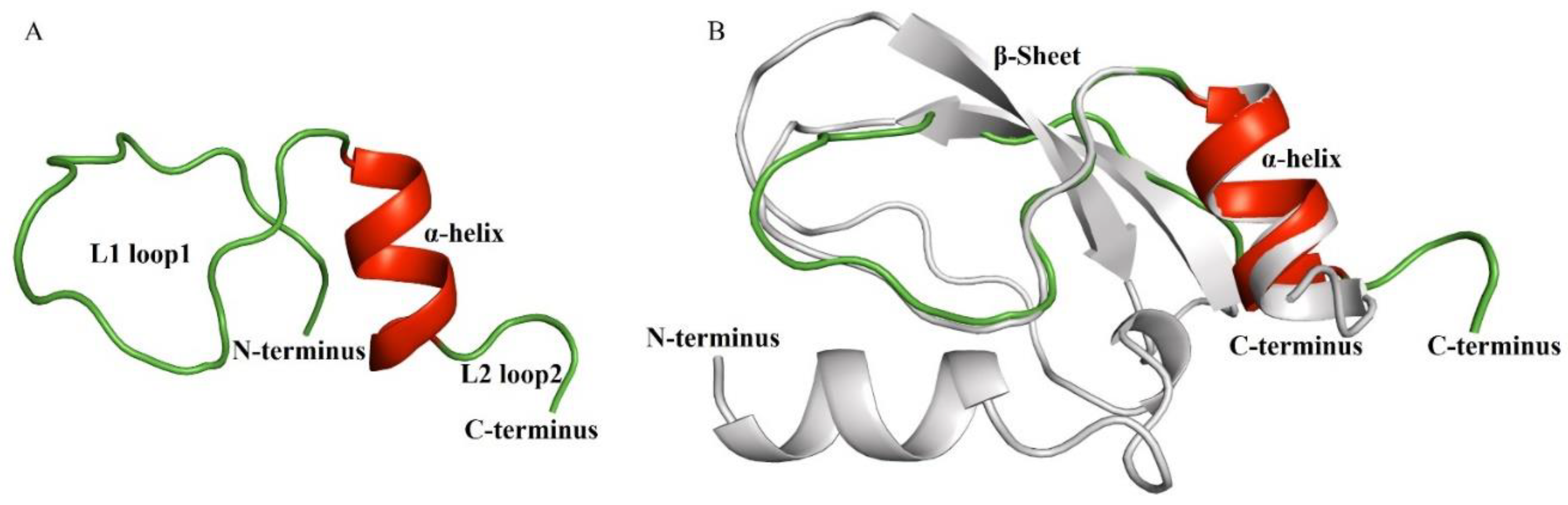 Marinedrugs 20 00686 g004