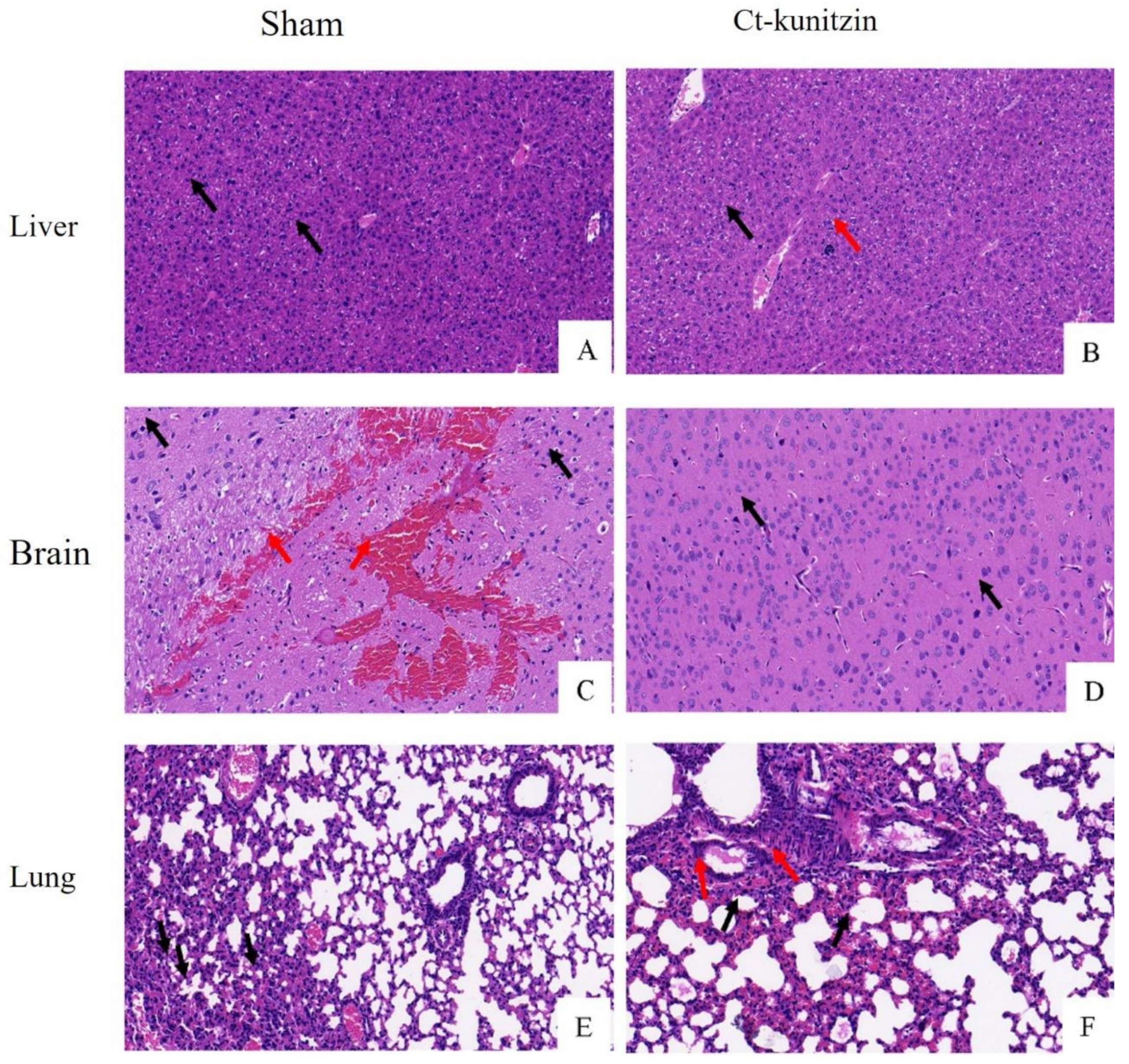 Marinedrugs 20 00686 g008