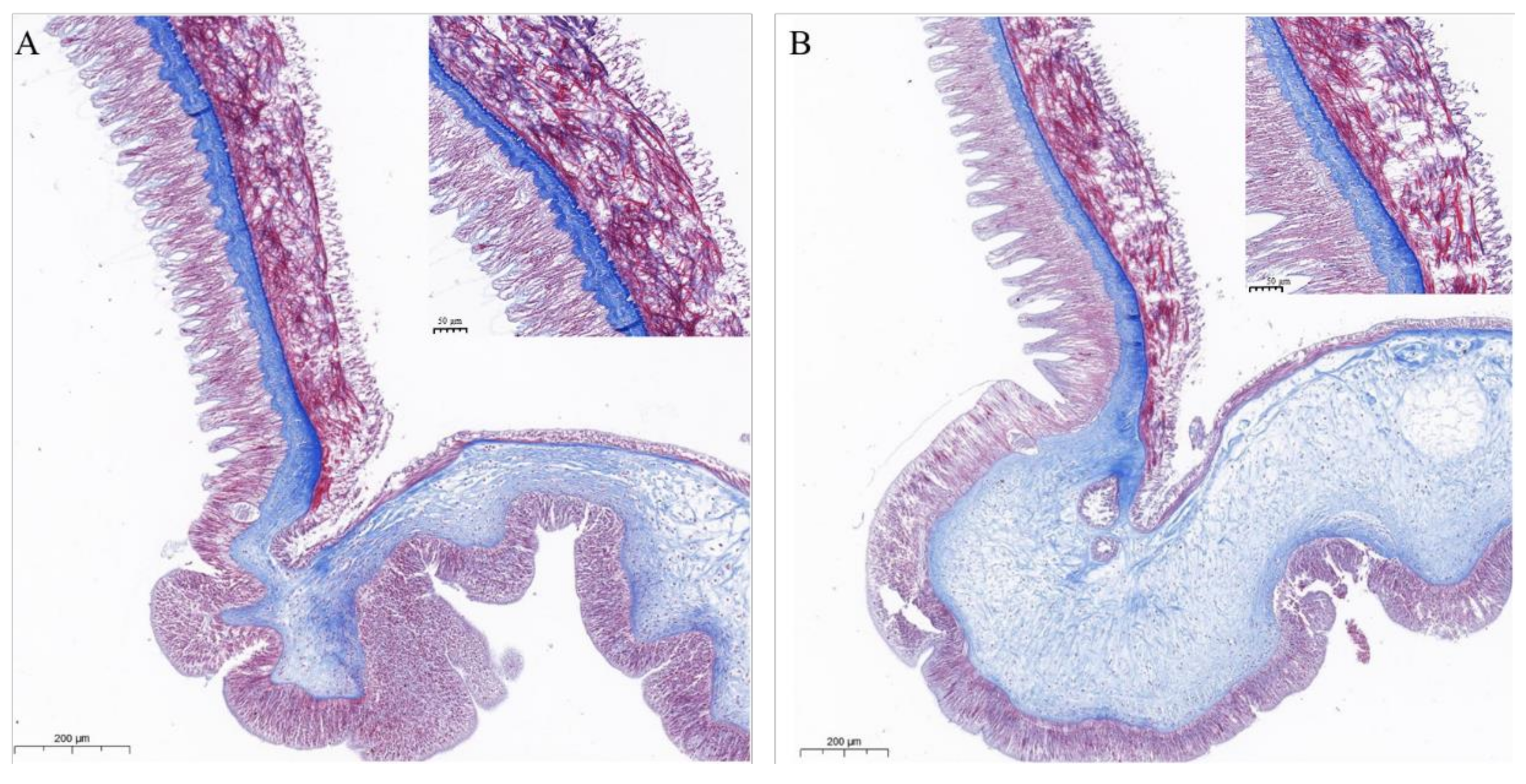 Marinedrugs 20 00686 g009