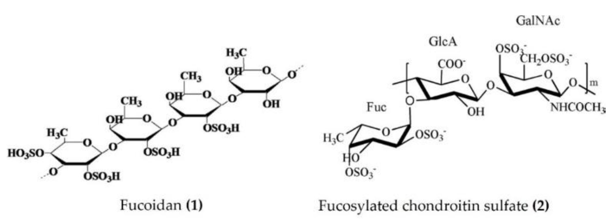 Marinedrugs 20 00693 g001