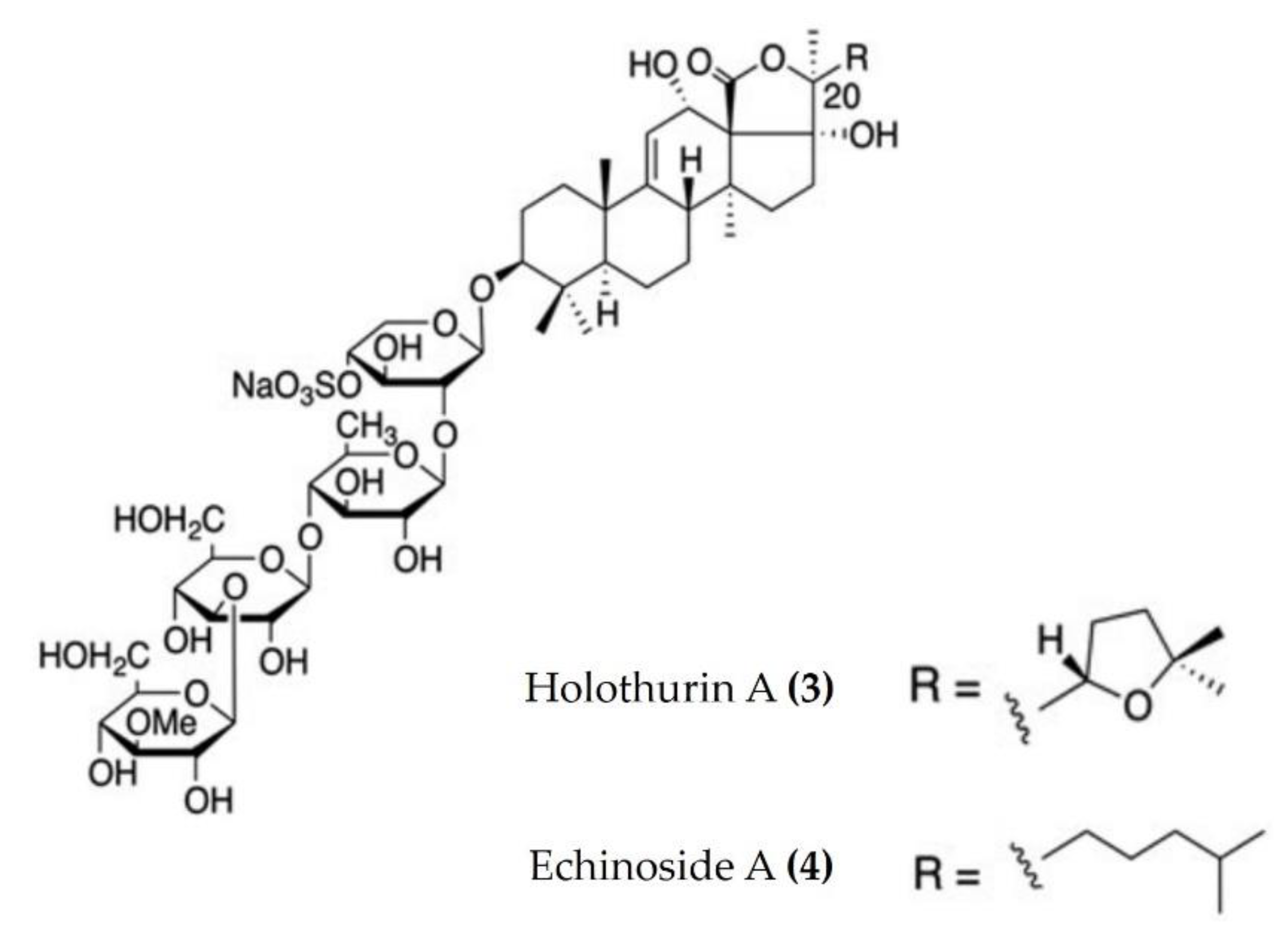 Marinedrugs 20 00693 g002