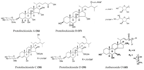 Marinedrugs 20 00693 g012