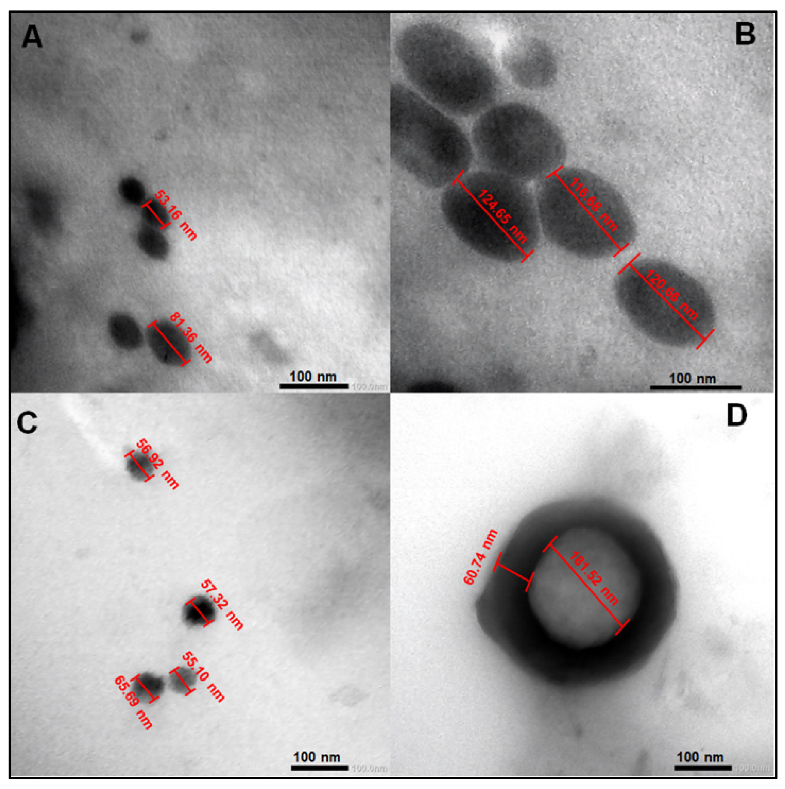 Marinedrugs 20 00694 g001