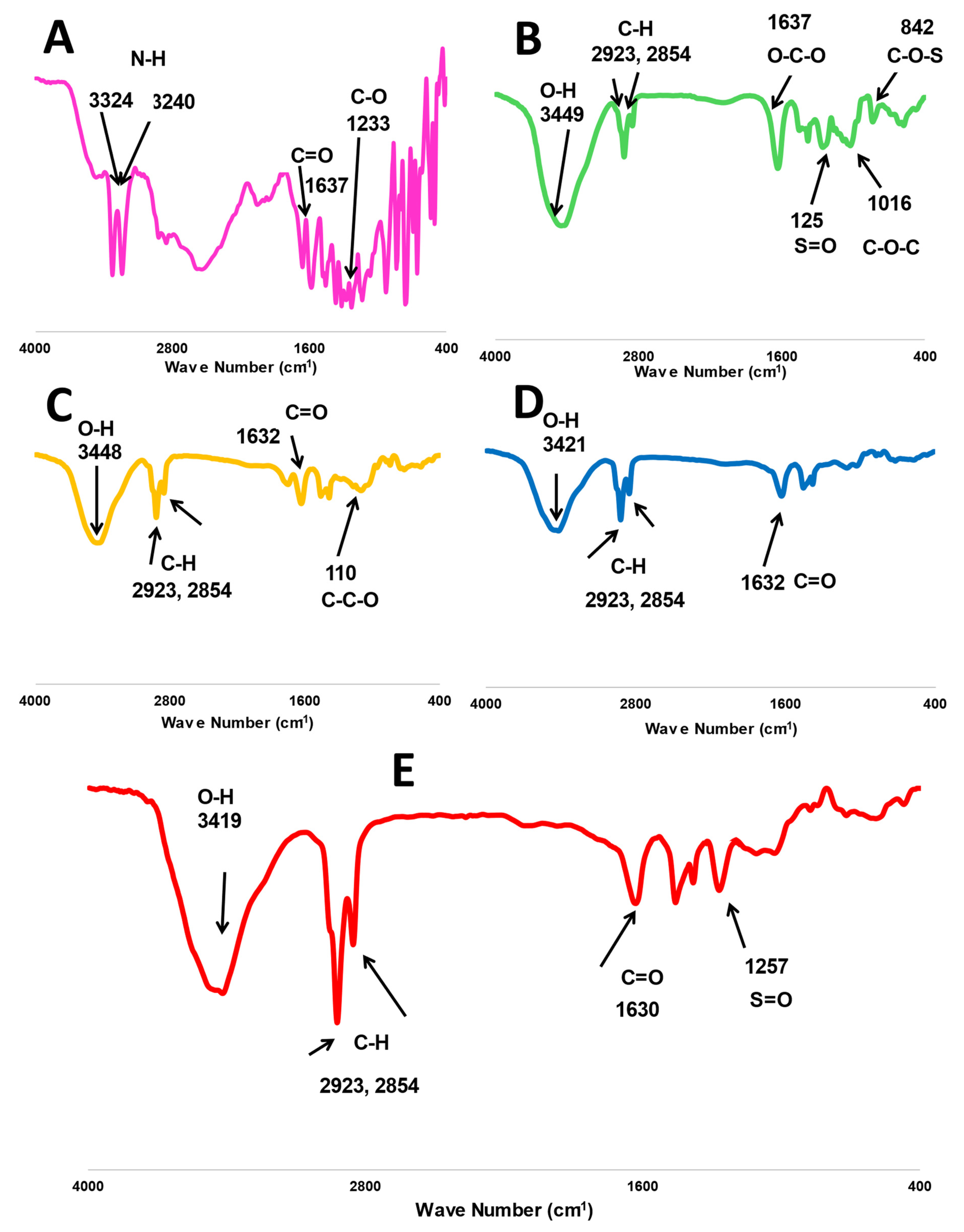 Marinedrugs 20 00694 g002