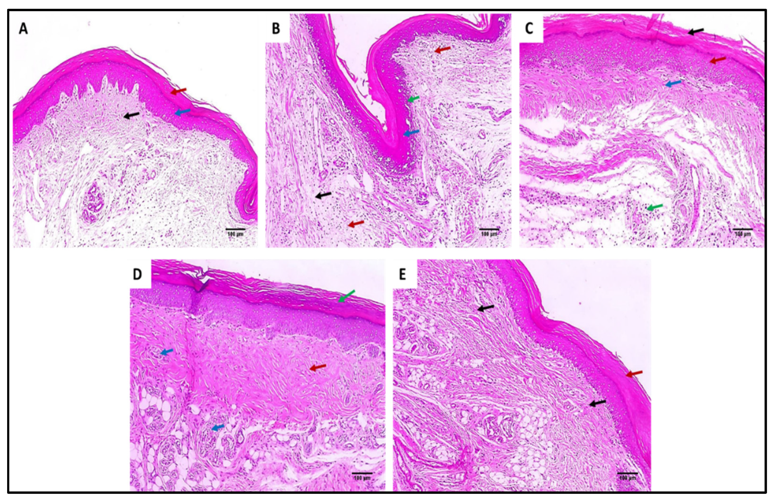 Marinedrugs 20 00694 g006