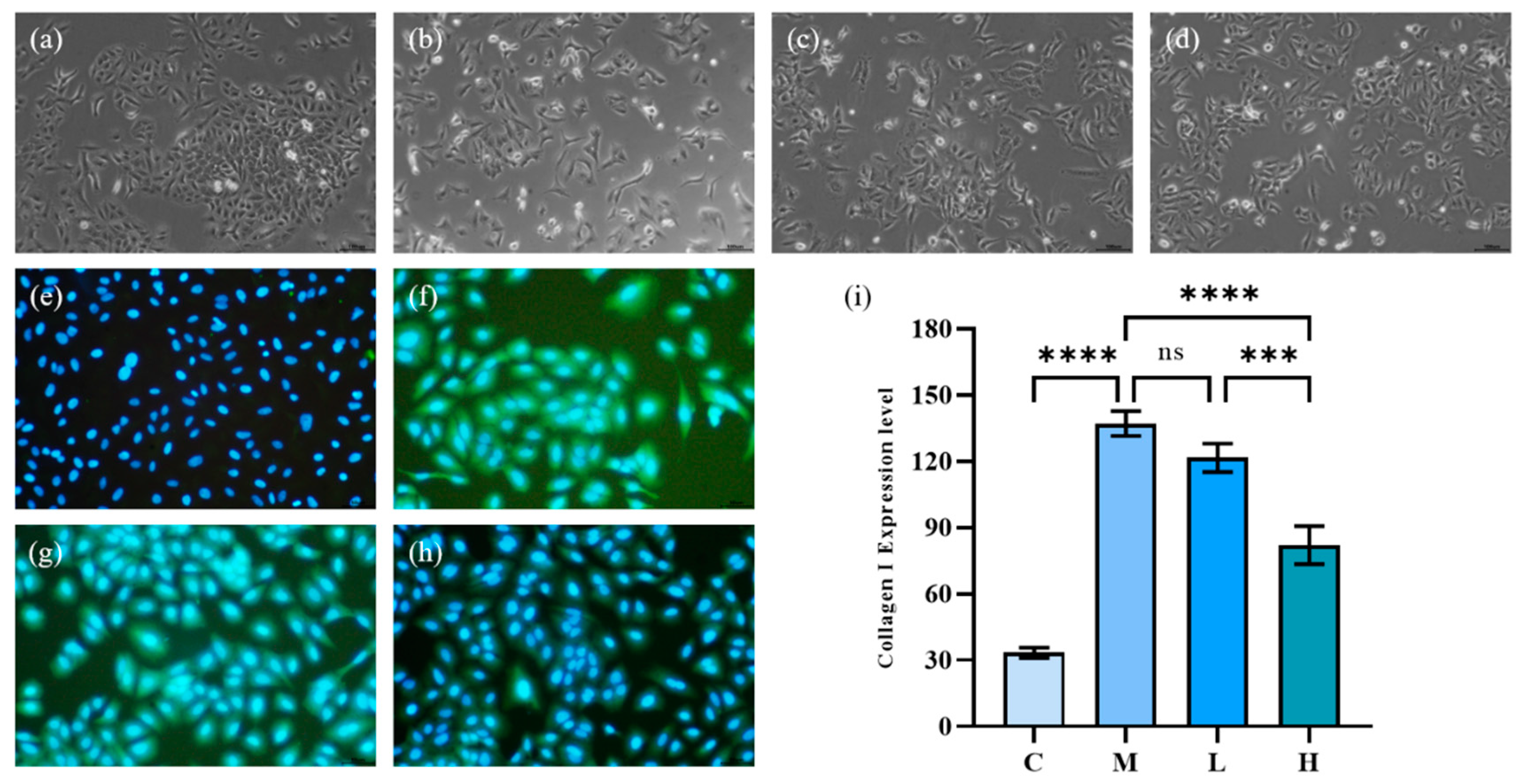 Marinedrugs 20 00696 g005