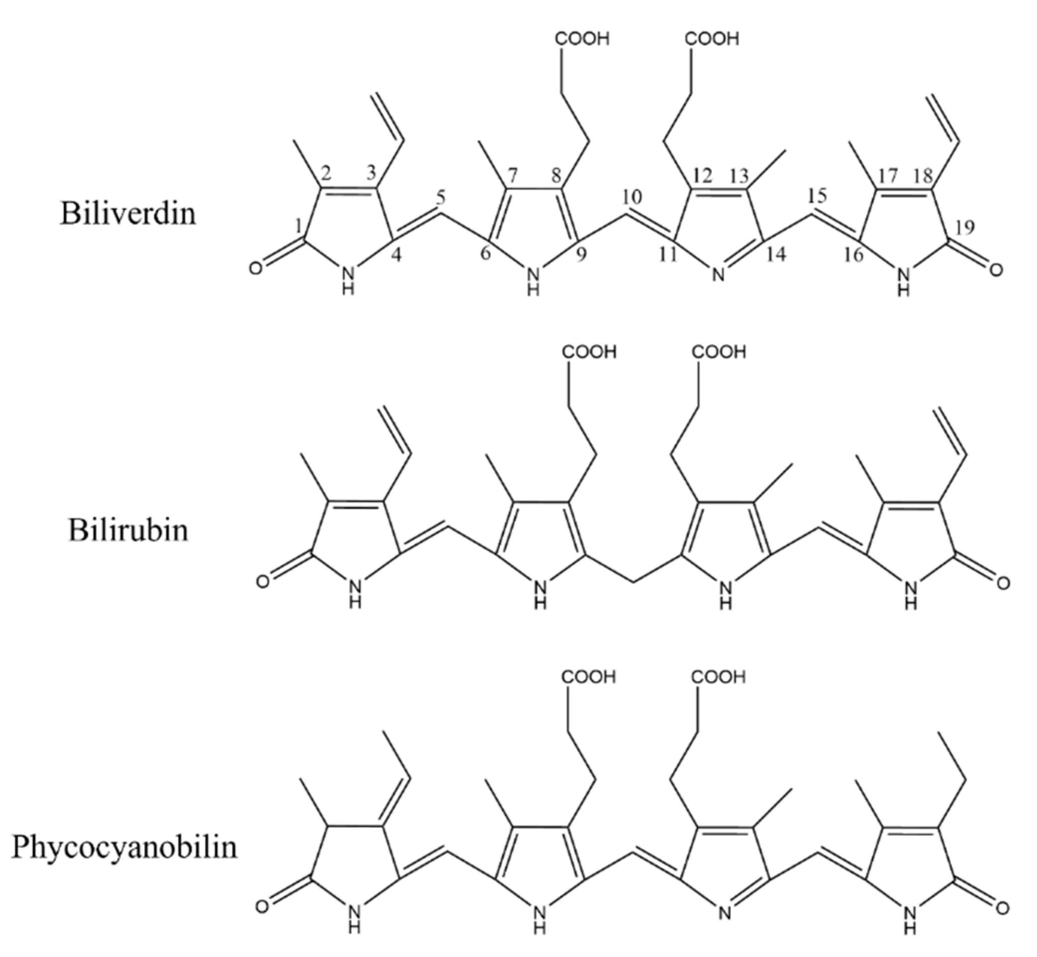 Marinedrugs 20 00696 g011