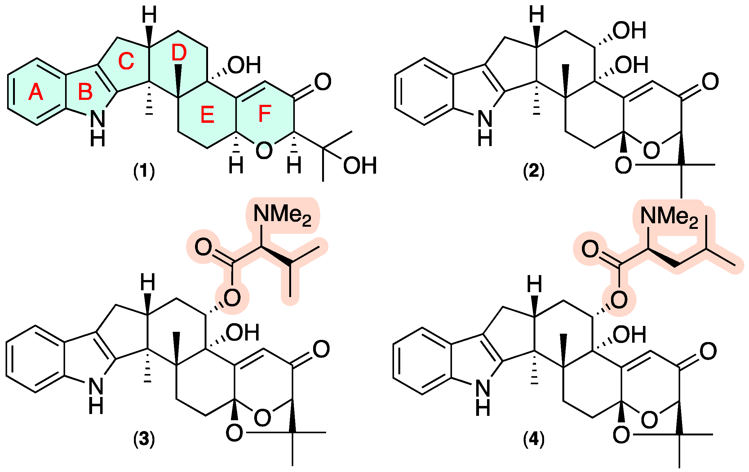 Marinedrugs 20 00698 g001