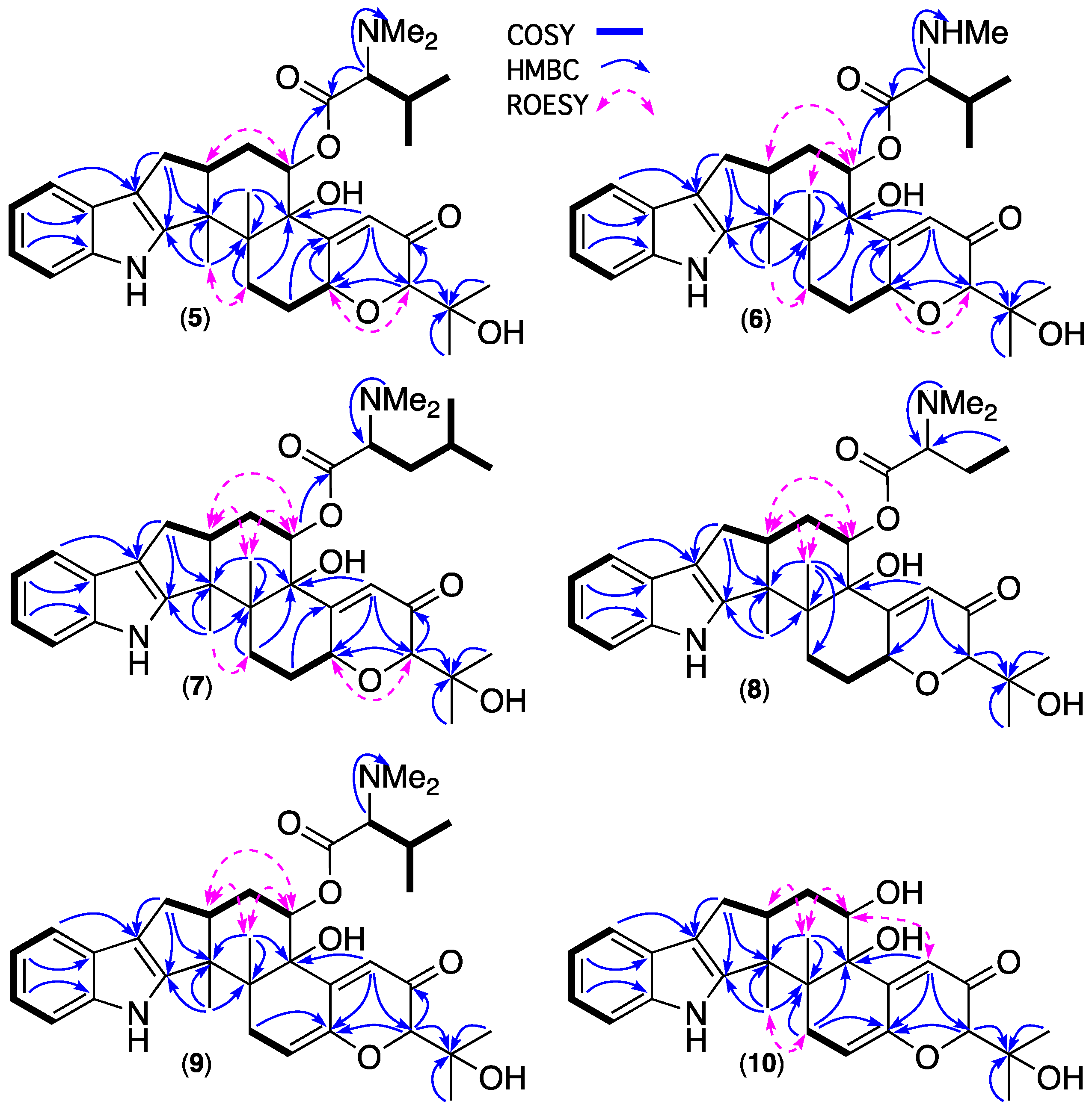 Marinedrugs 20 00698 g005