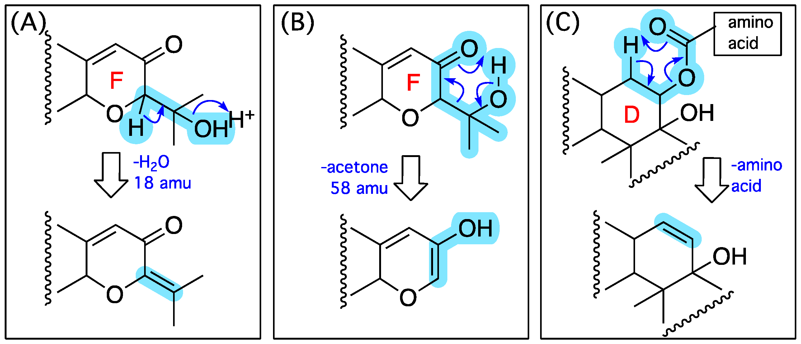 Marinedrugs 20 00698 g008