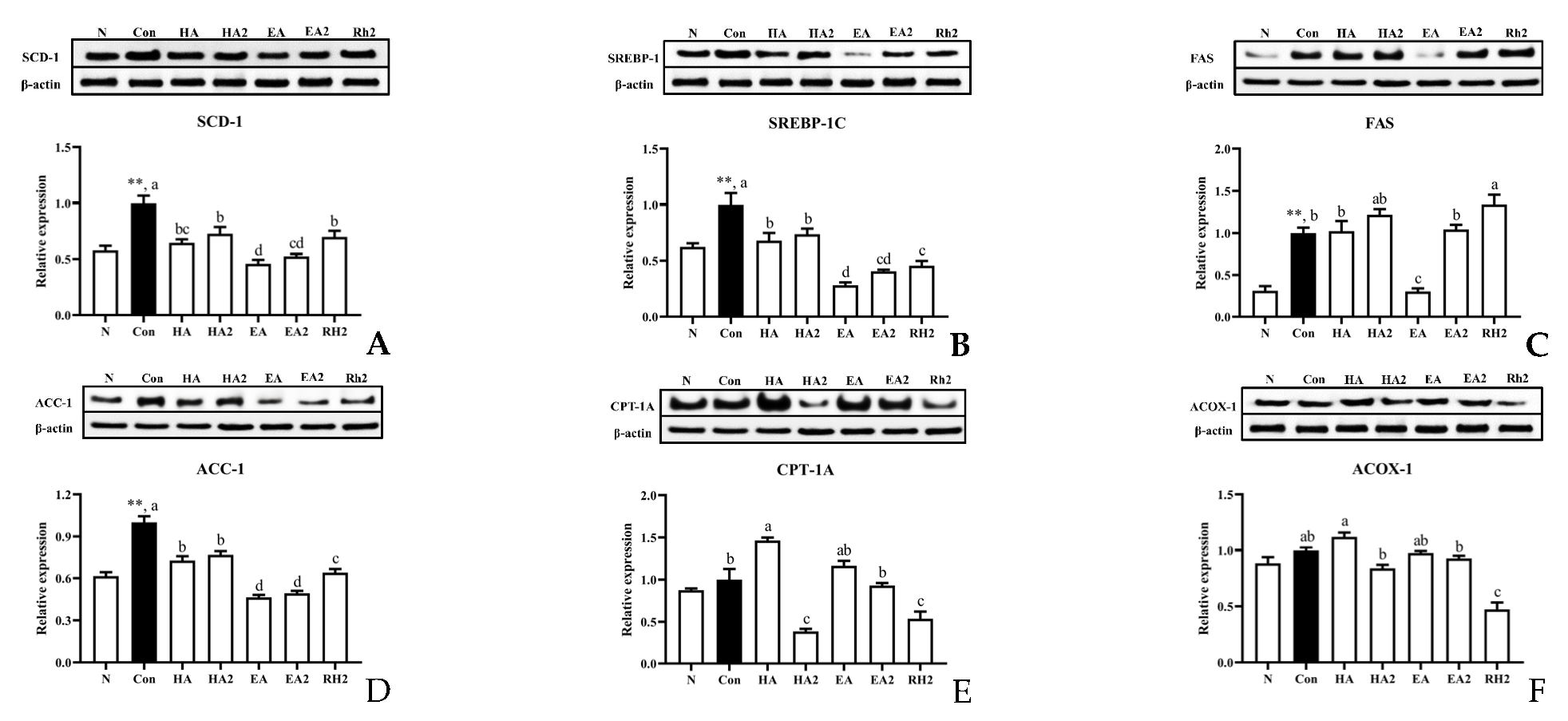 Marinedrugs 20 00703 g003