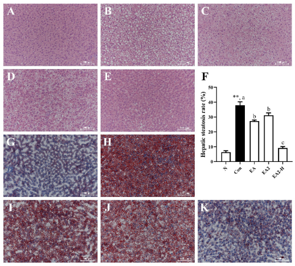 Marinedrugs 20 00703 g004