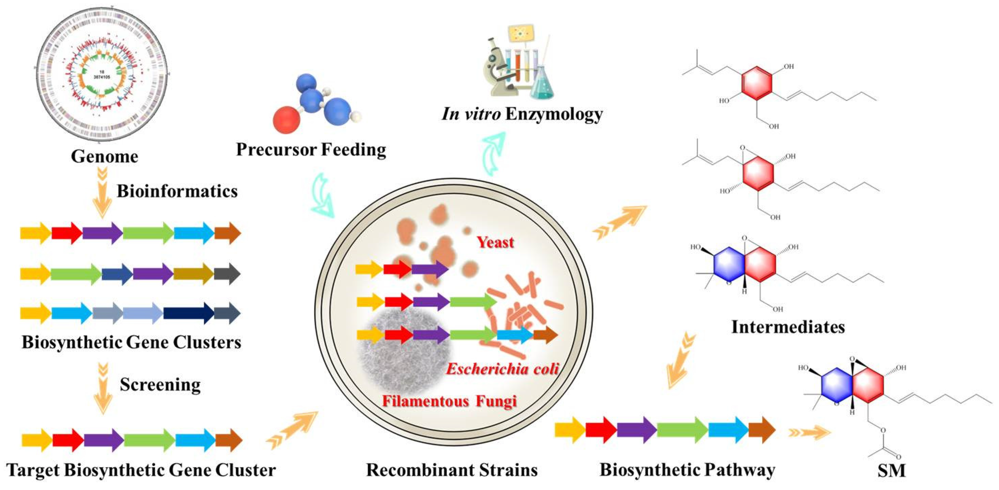 Marinedrugs 20 00705 g003