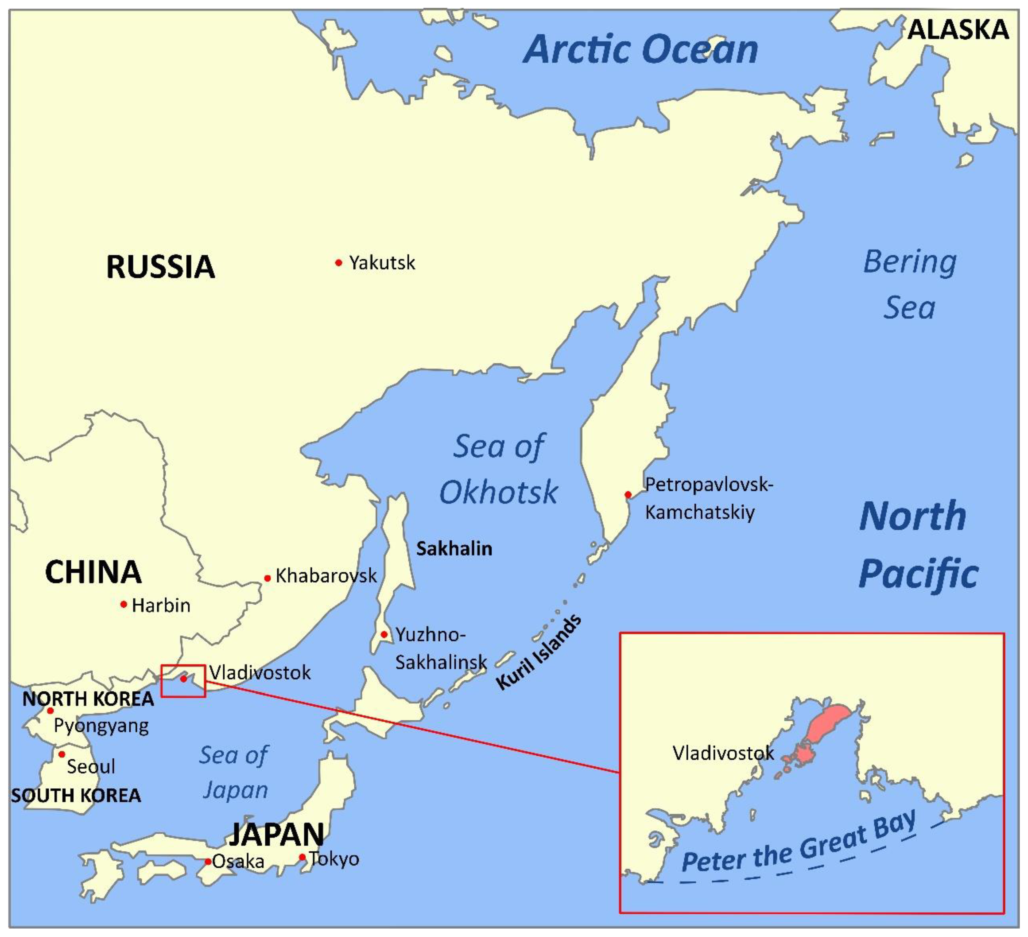 Marinedrugs 20 00708 g001