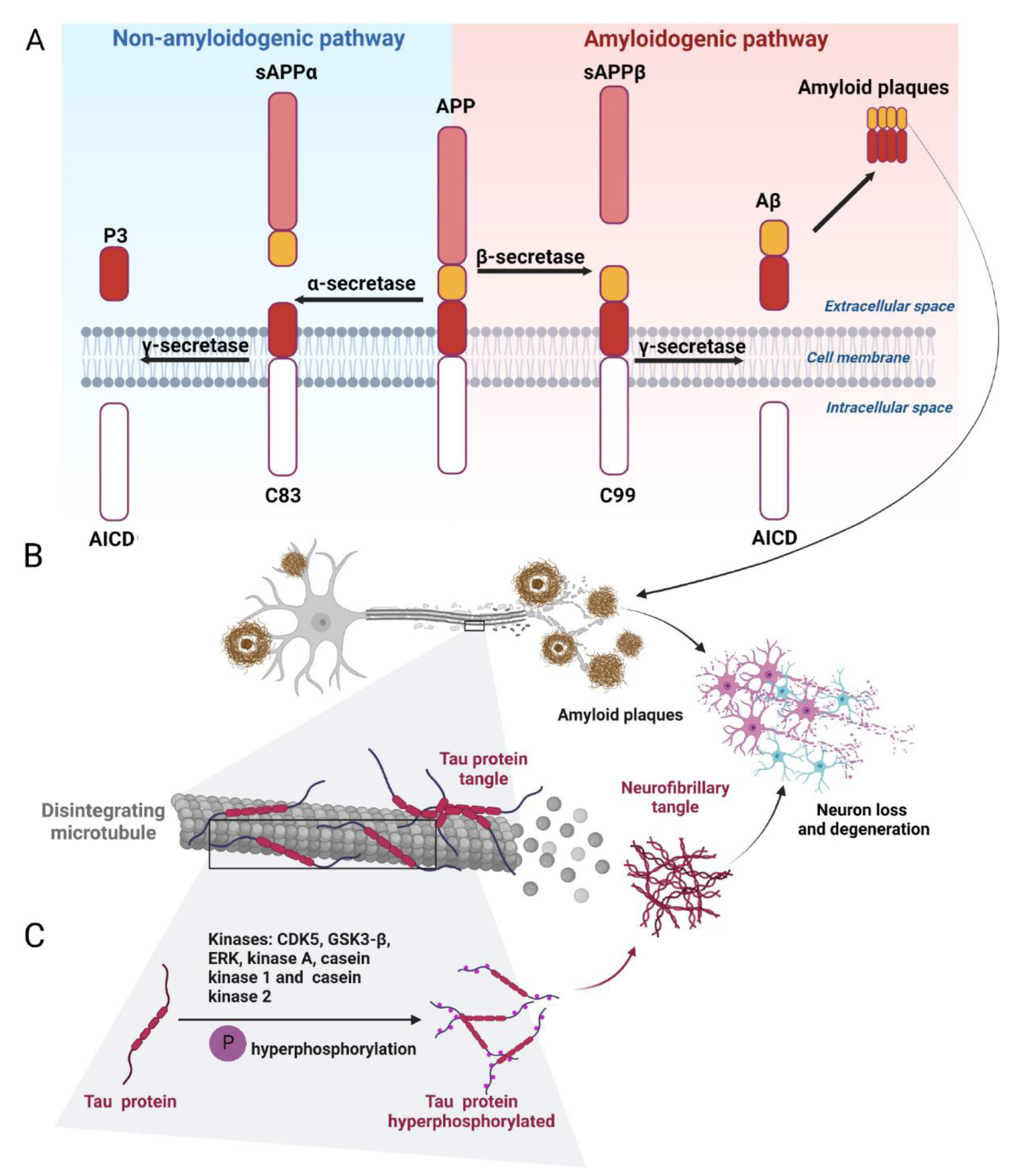 Marinedrugs 20 00708 g002