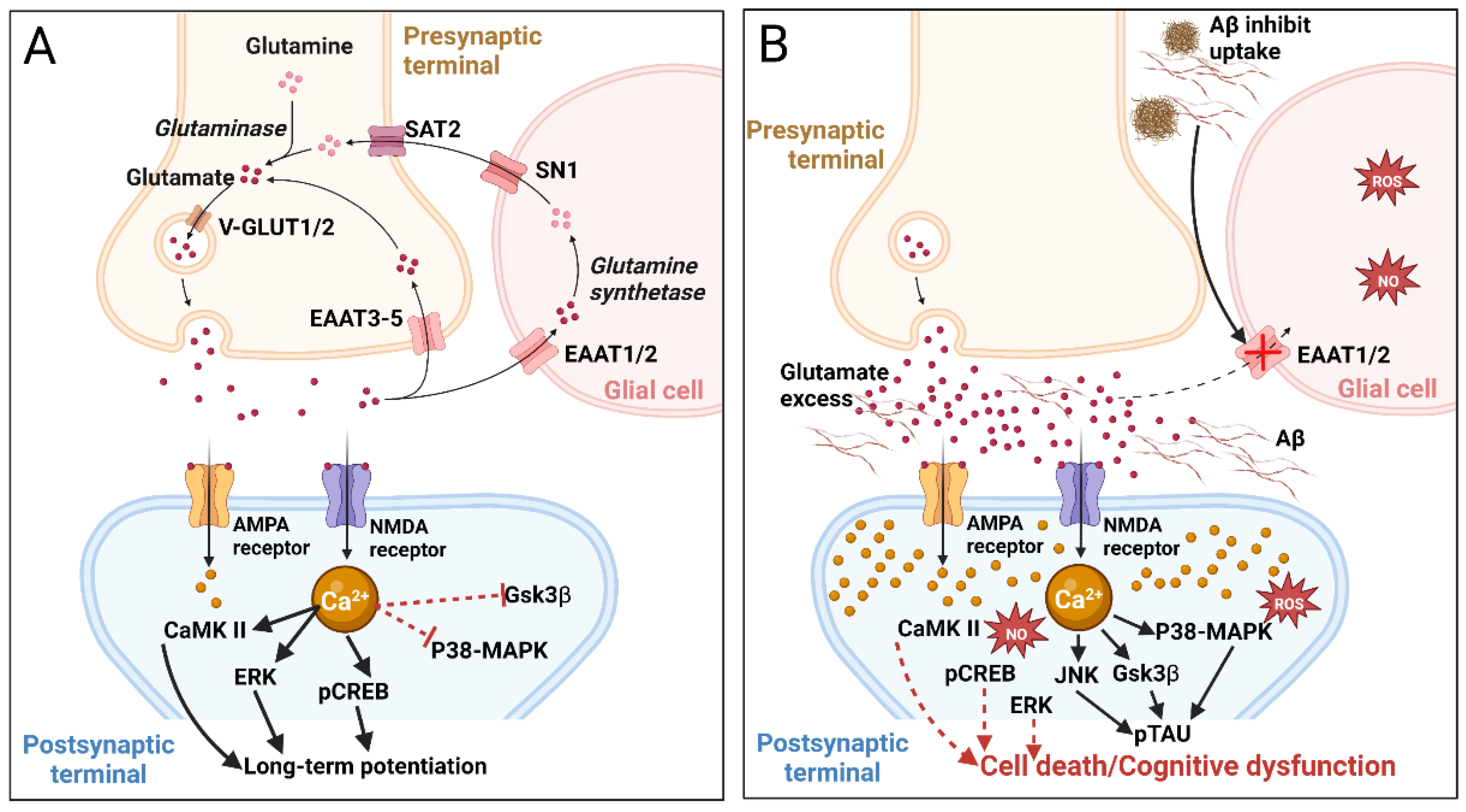 Marinedrugs 20 00708 g003