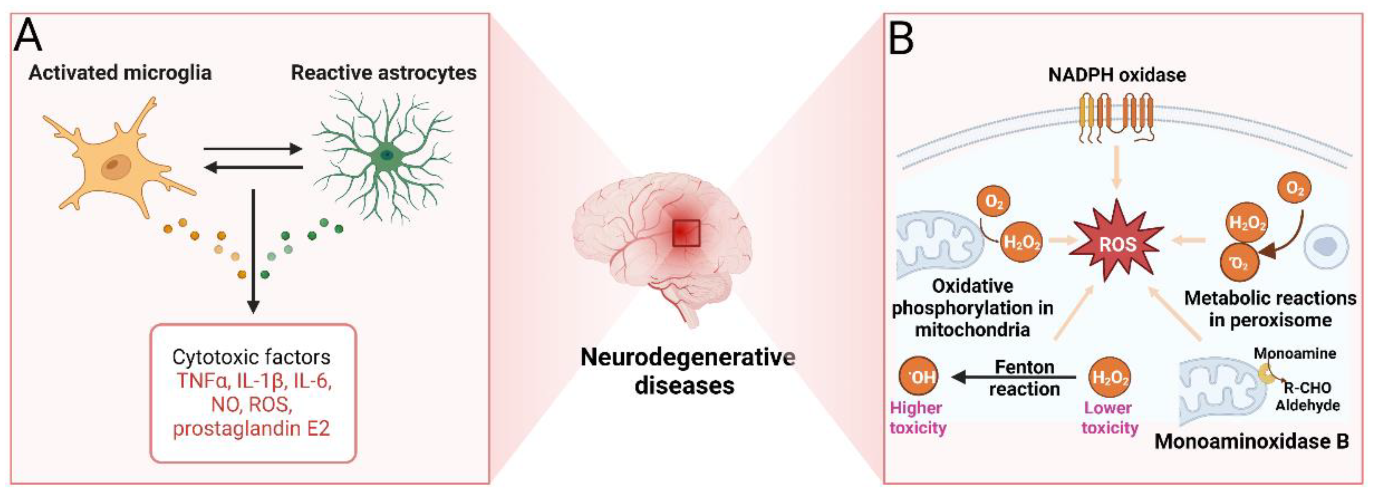Marinedrugs 20 00708 g005