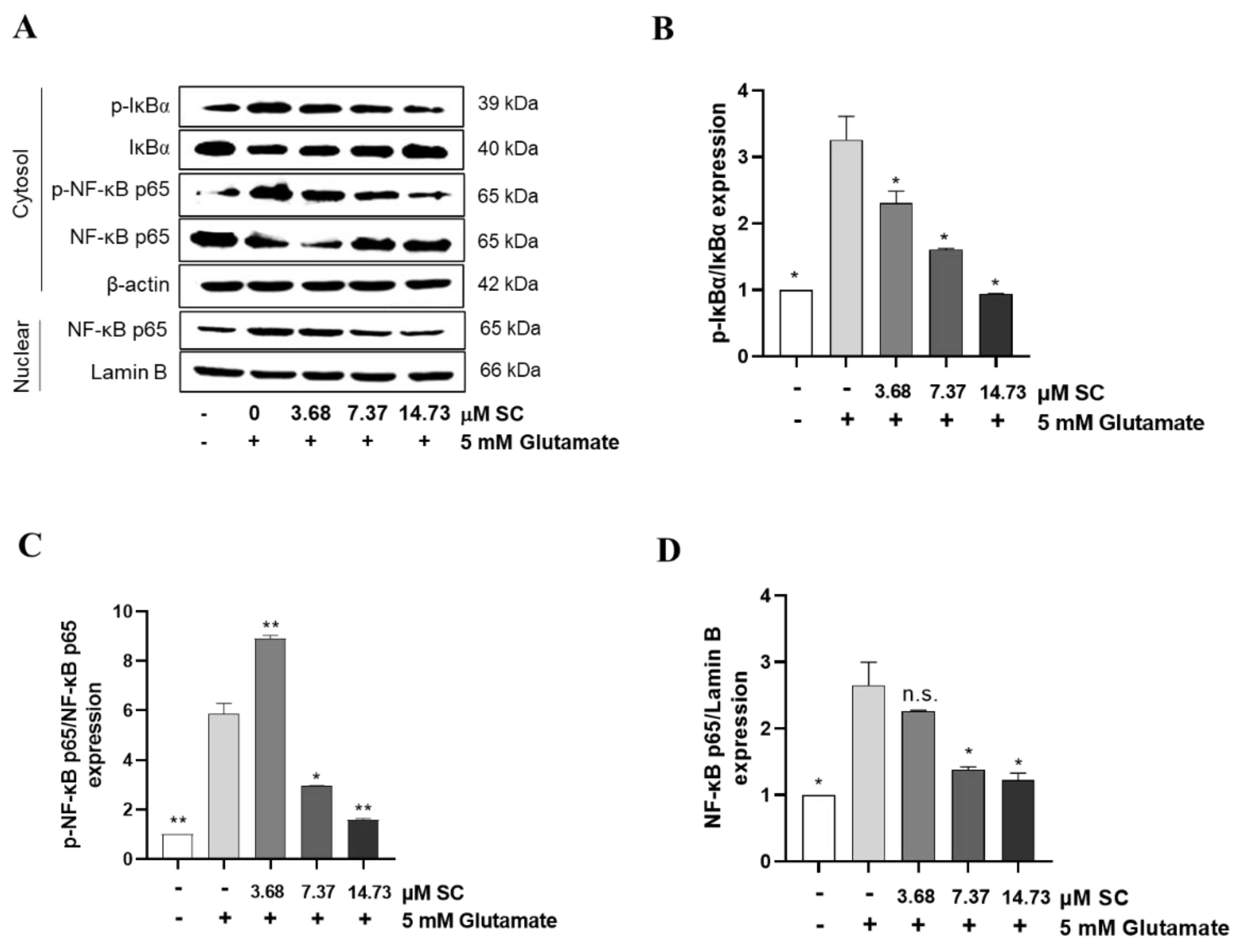 Marinedrugs 20 00710 g004 Marinedrugs 20 00710 g004