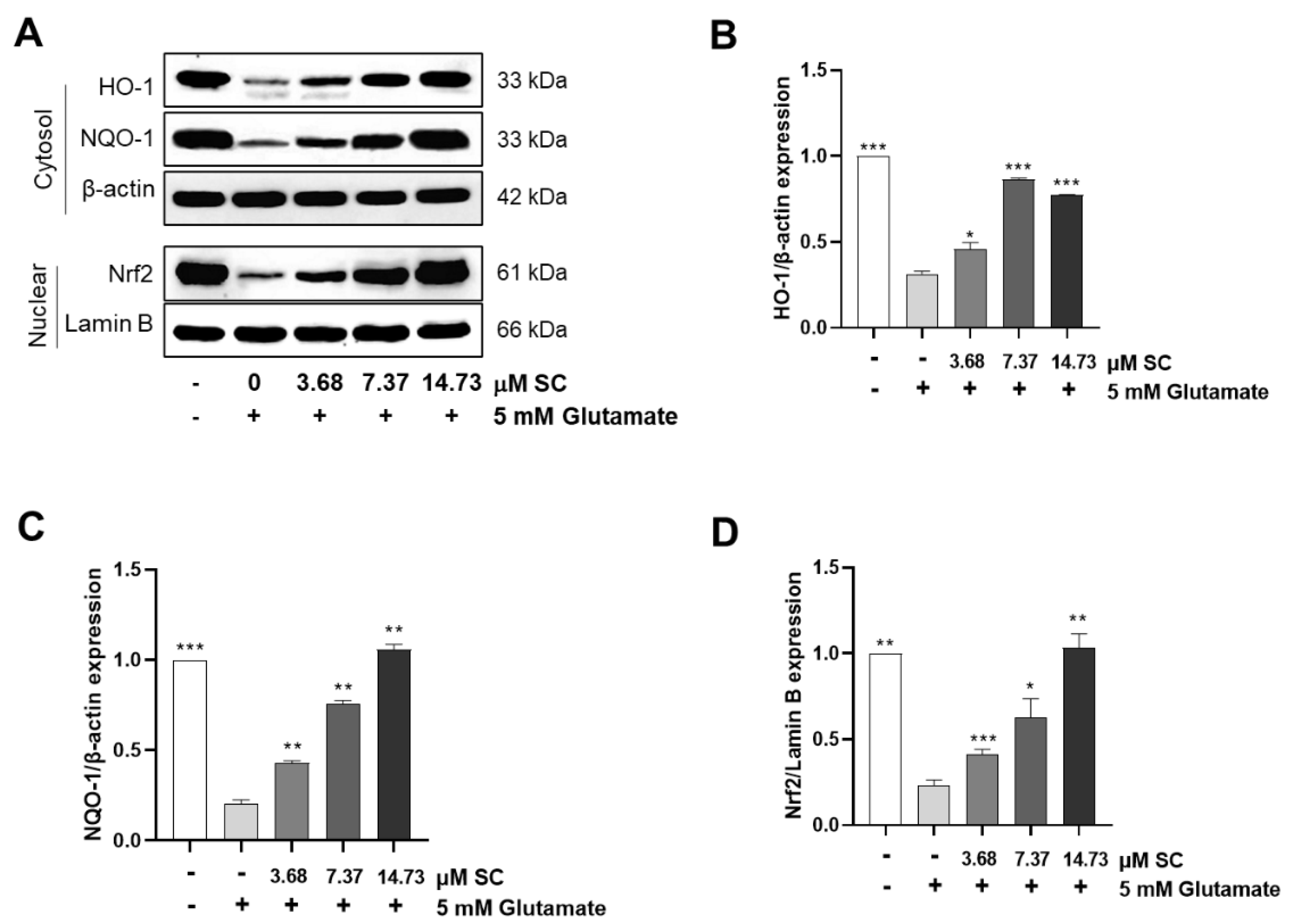 Marinedrugs 20 00710 g005 Marinedrugs 20 00710 g005