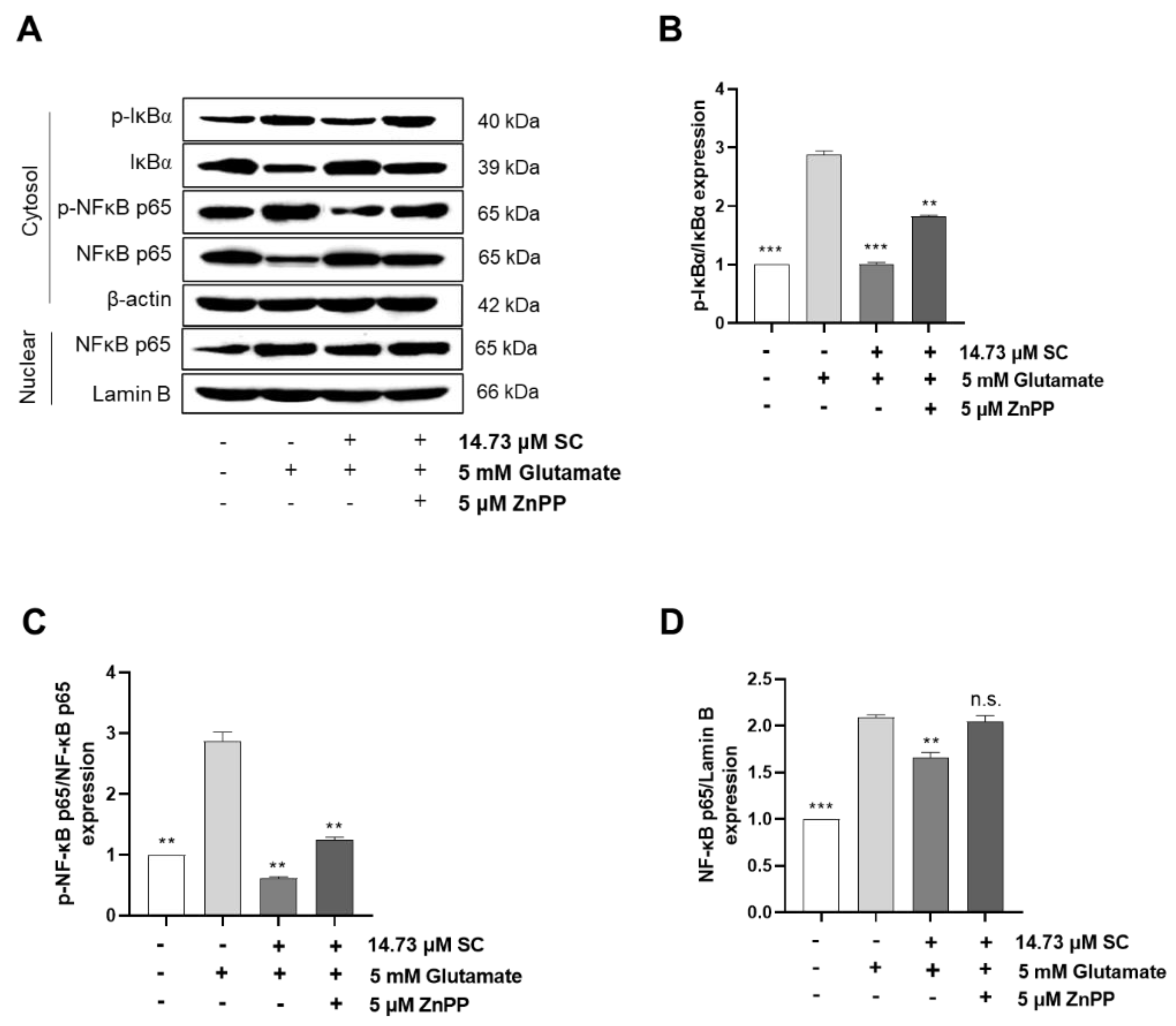 Marinedrugs 20 00710 g007 Marinedrugs 20 00710 g007