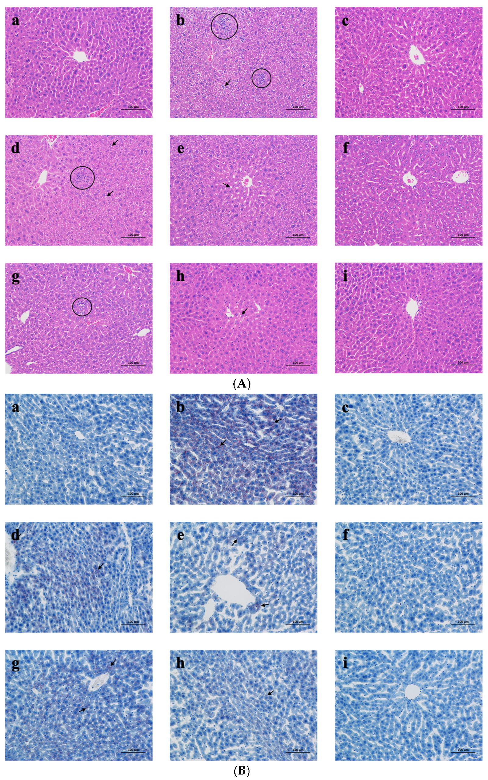 Marinedrugs 20 00719 g005