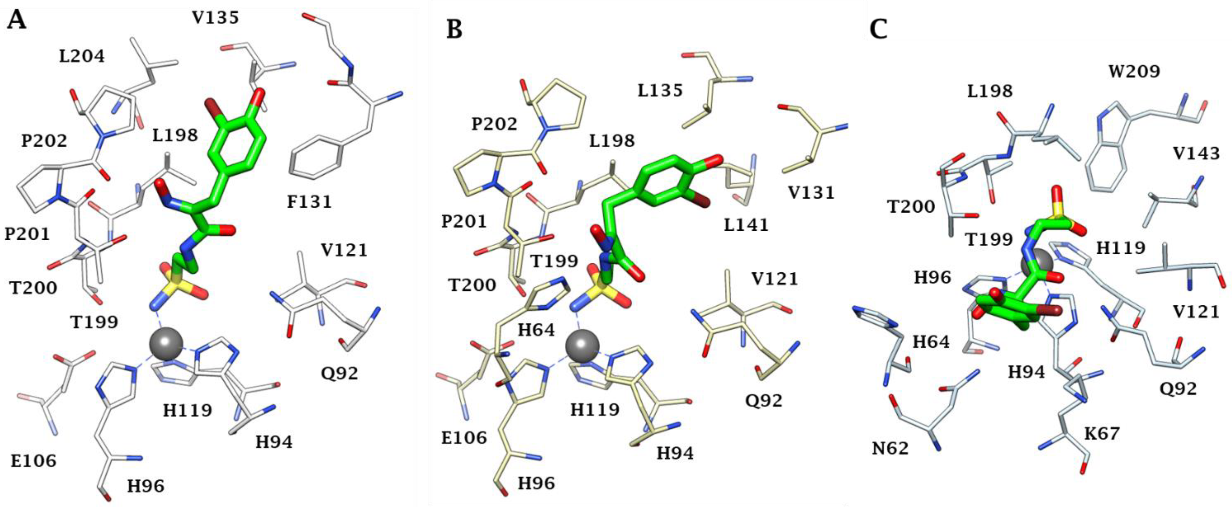 Marinedrugs 20 00721 g001
