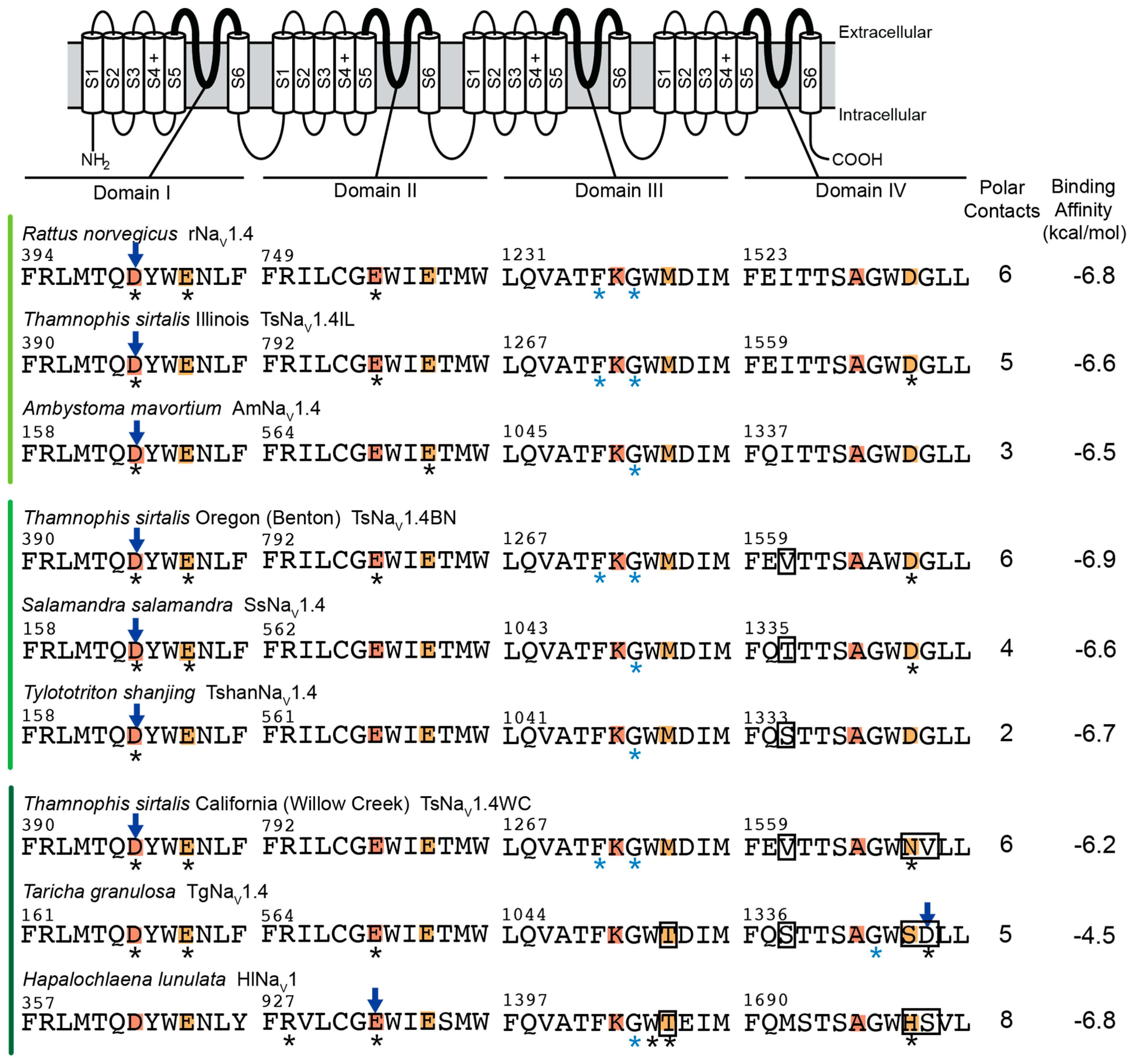 Marinedrugs 20 00723 g001 Marinedrugs 20 00723 g001
