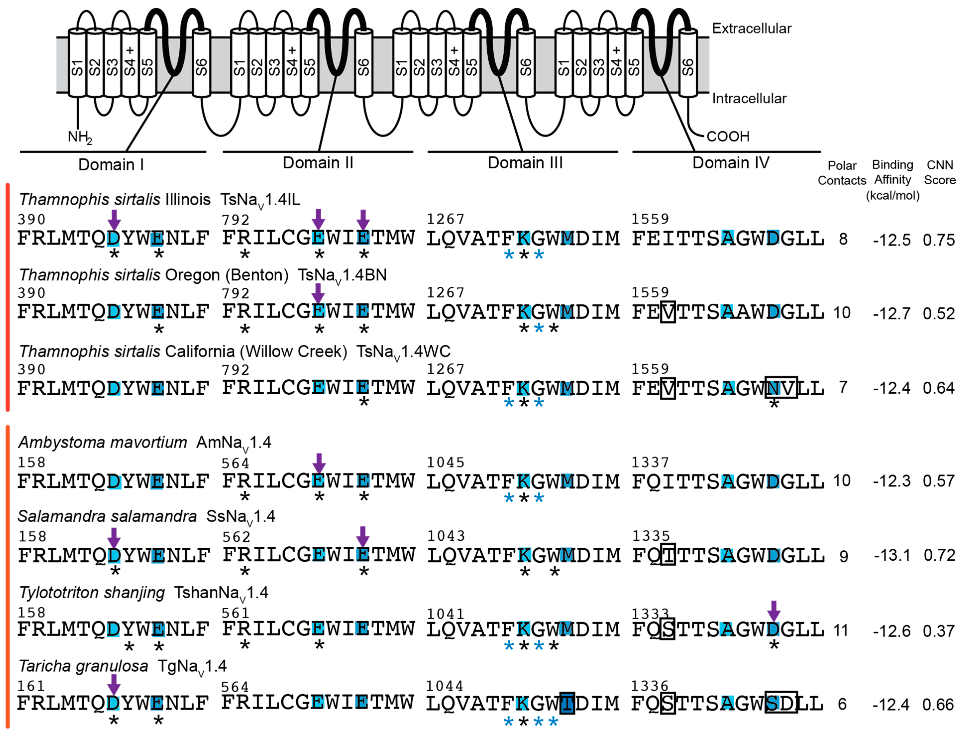Marinedrugs 20 00723 g003 Marinedrugs 20 00723 g003