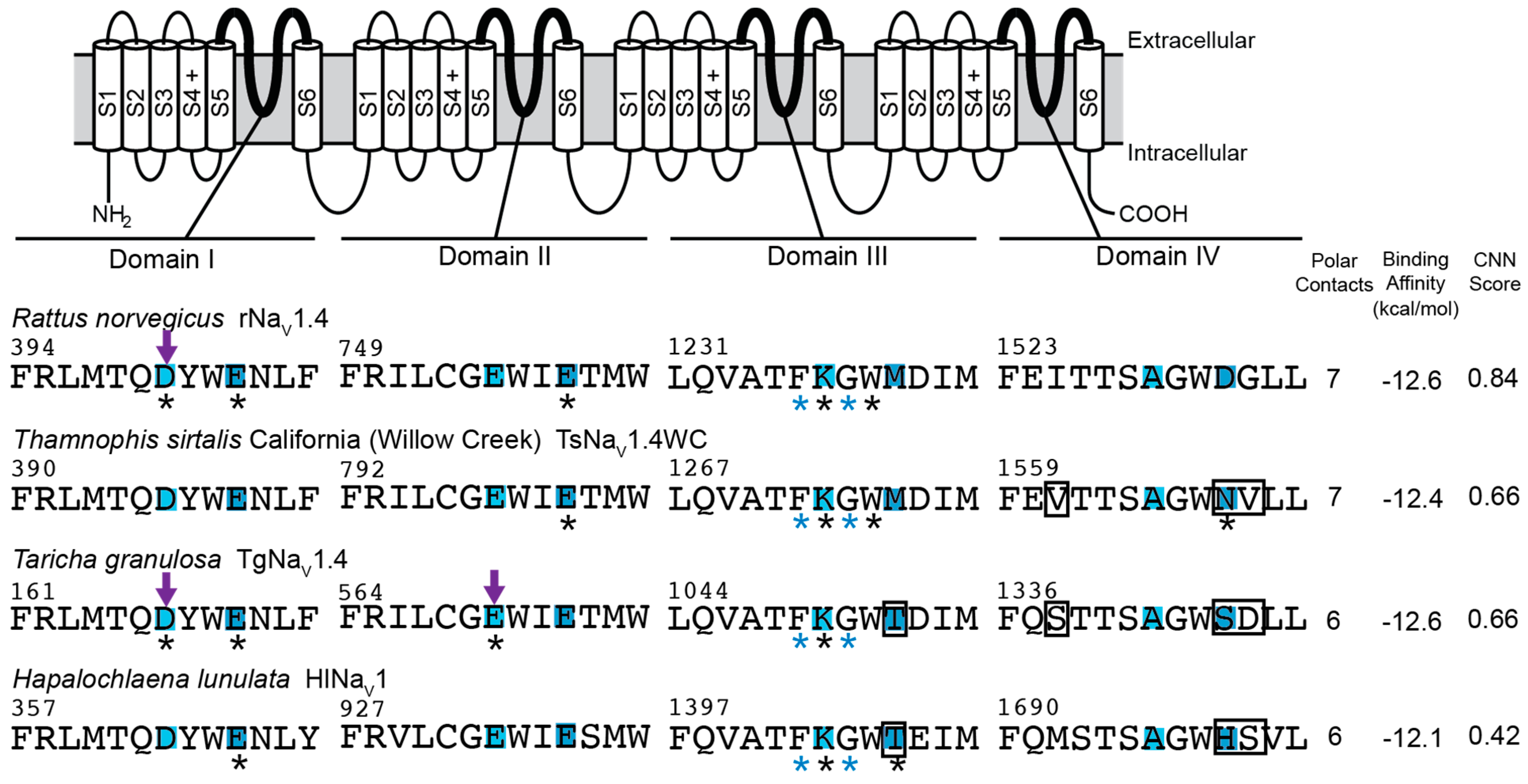 Marinedrugs 20 00723 g004 Marinedrugs 20 00723 g004