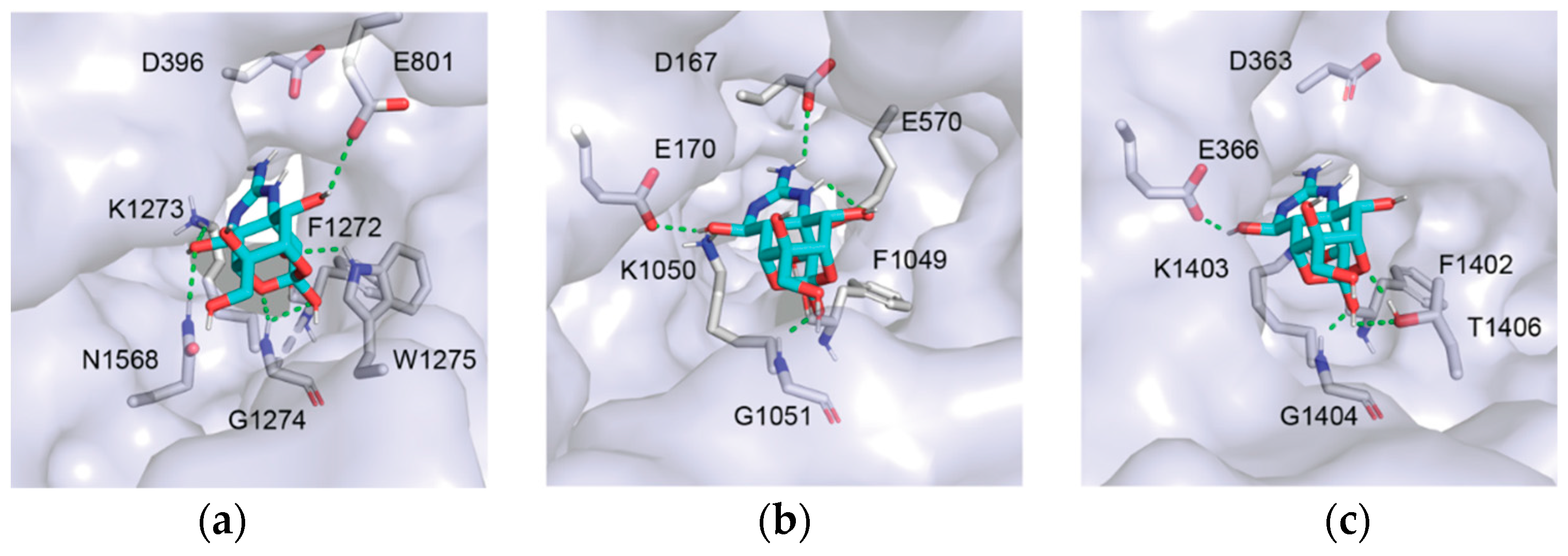 Marinedrugs 20 00723 g005 Marinedrugs 20 00723 g005