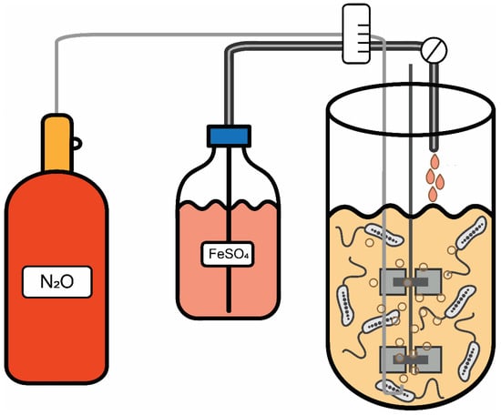 Marinedrugs 20 00724 g0a1