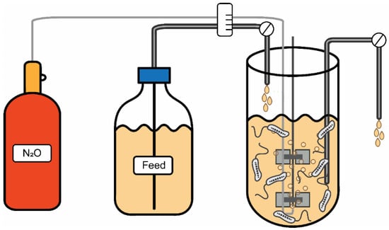 Marinedrugs 20 00724 g0a2
