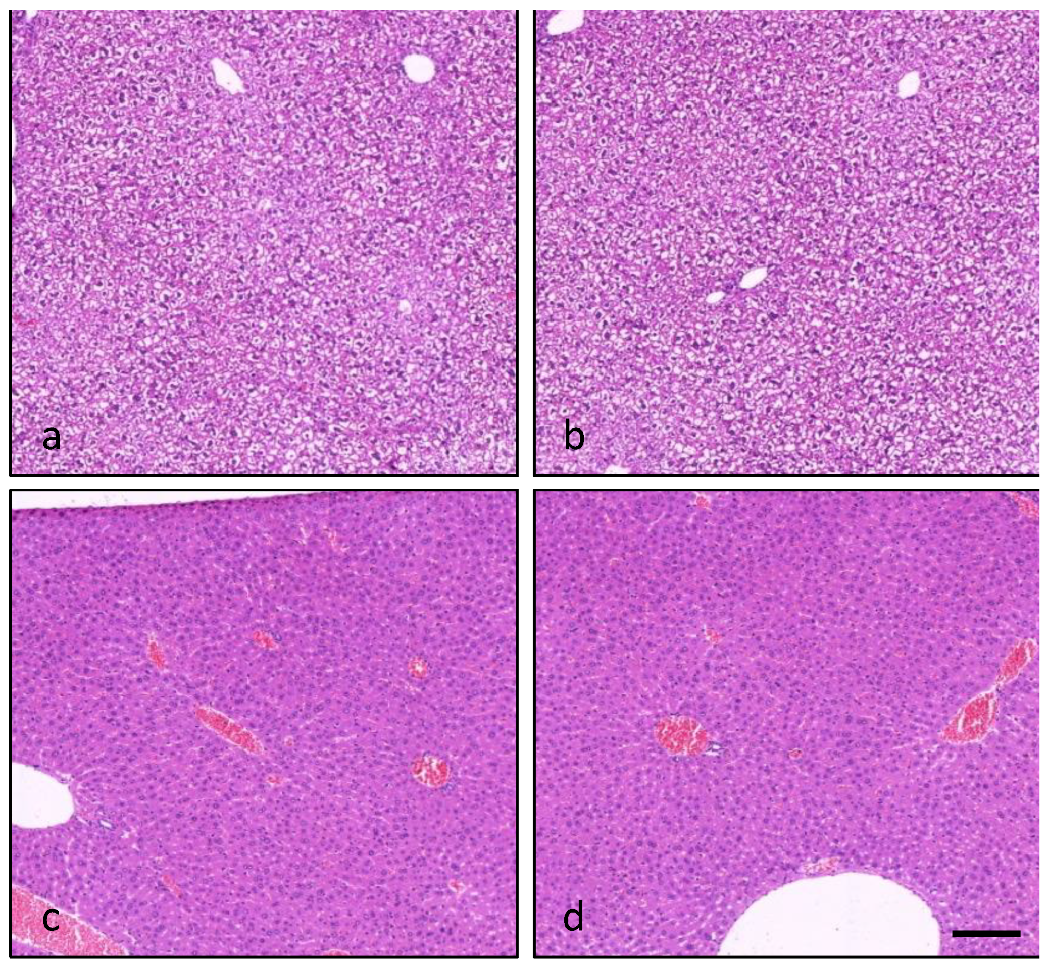 Marinedrugs 20 00735 g005