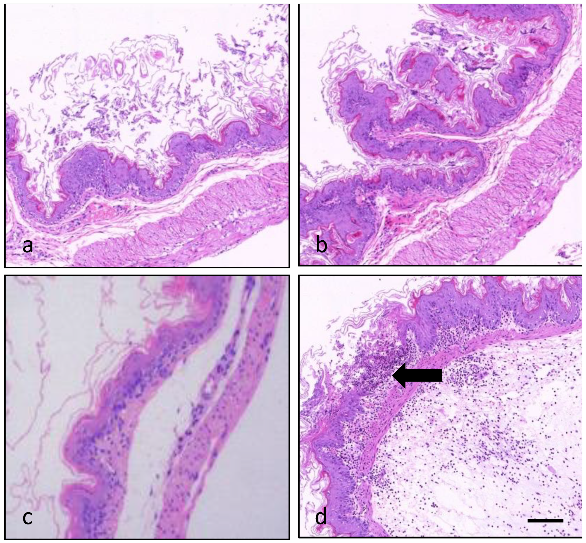 Marinedrugs 20 00735 g006