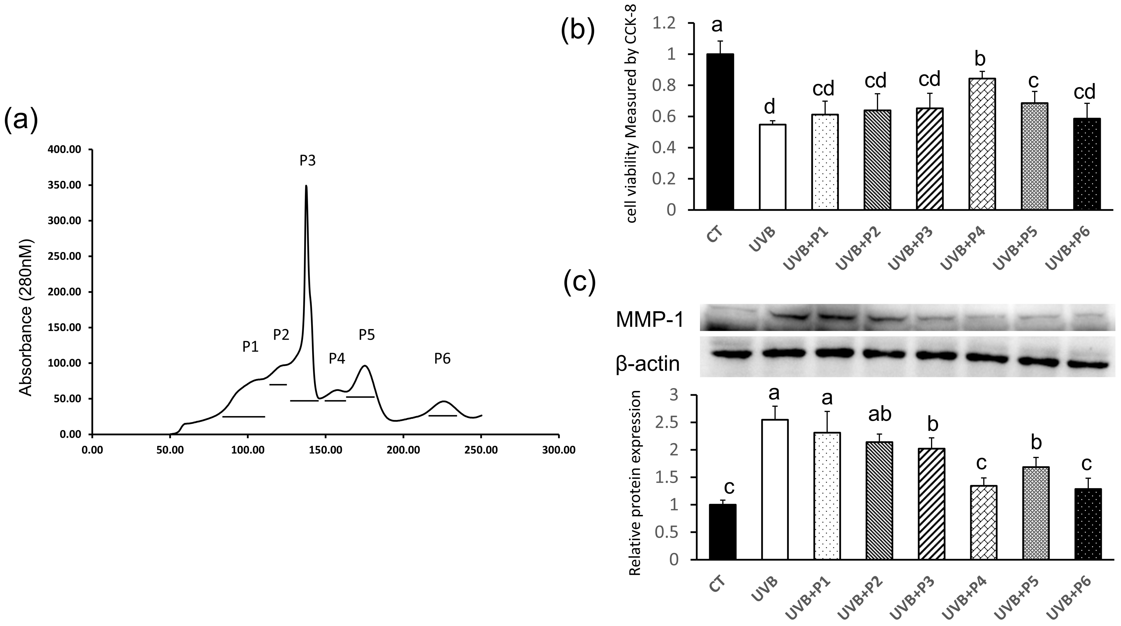 Marinedrugs 20 00749 g002 Marinedrugs 20 00749 g002