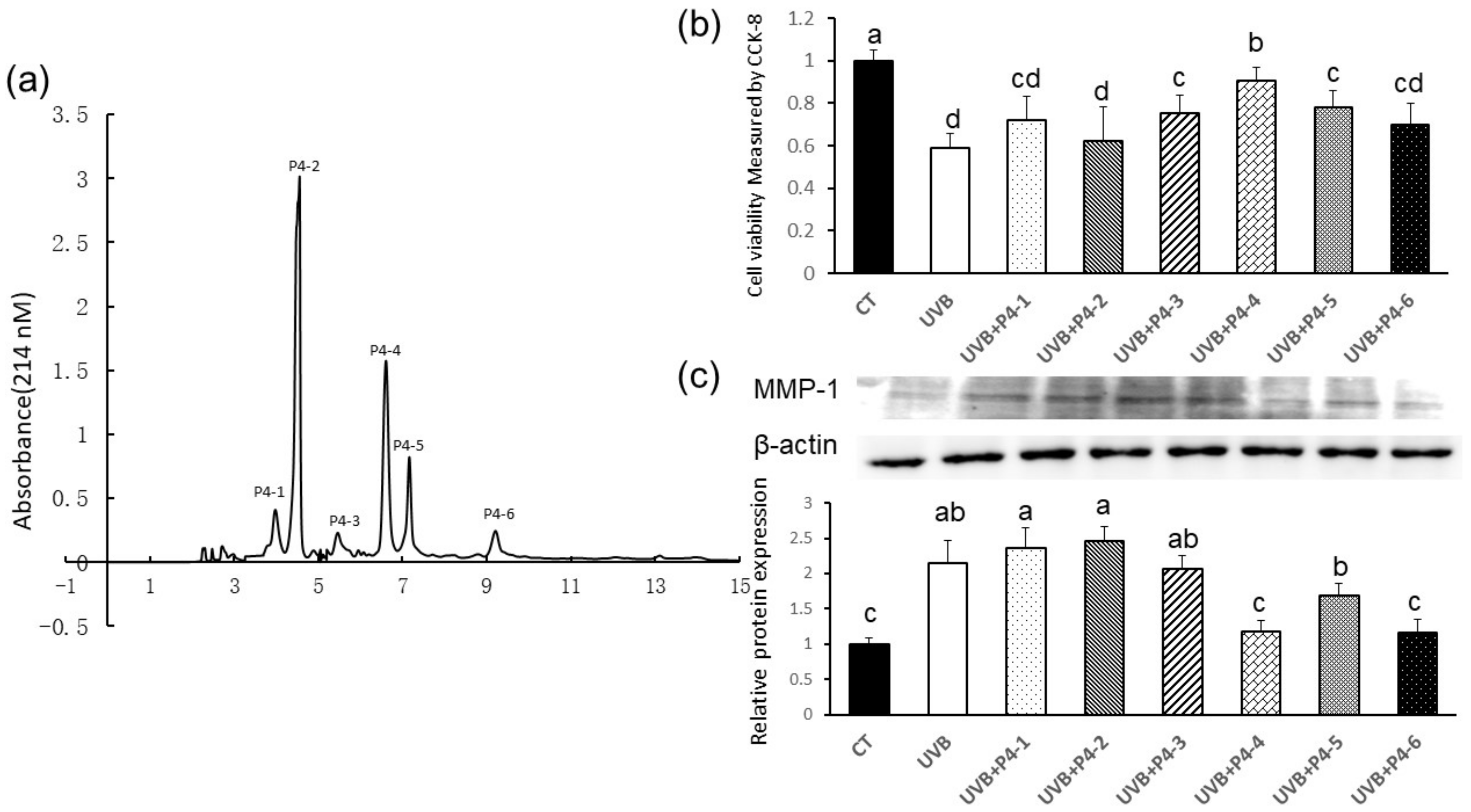 Marinedrugs 20 00749 g003 Marinedrugs 20 00749 g003