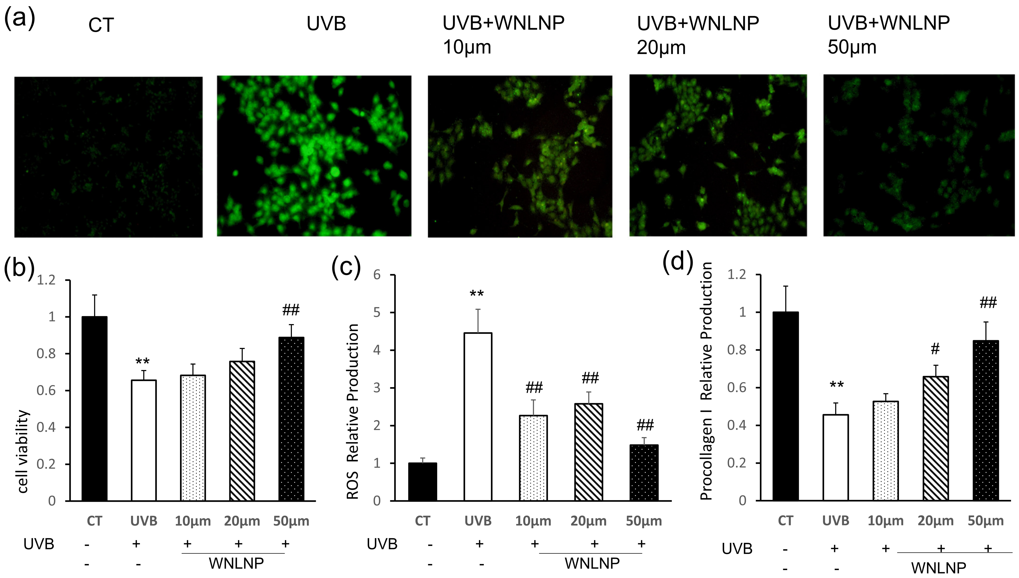 Marinedrugs 20 00749 g006 Marinedrugs 20 00749 g006