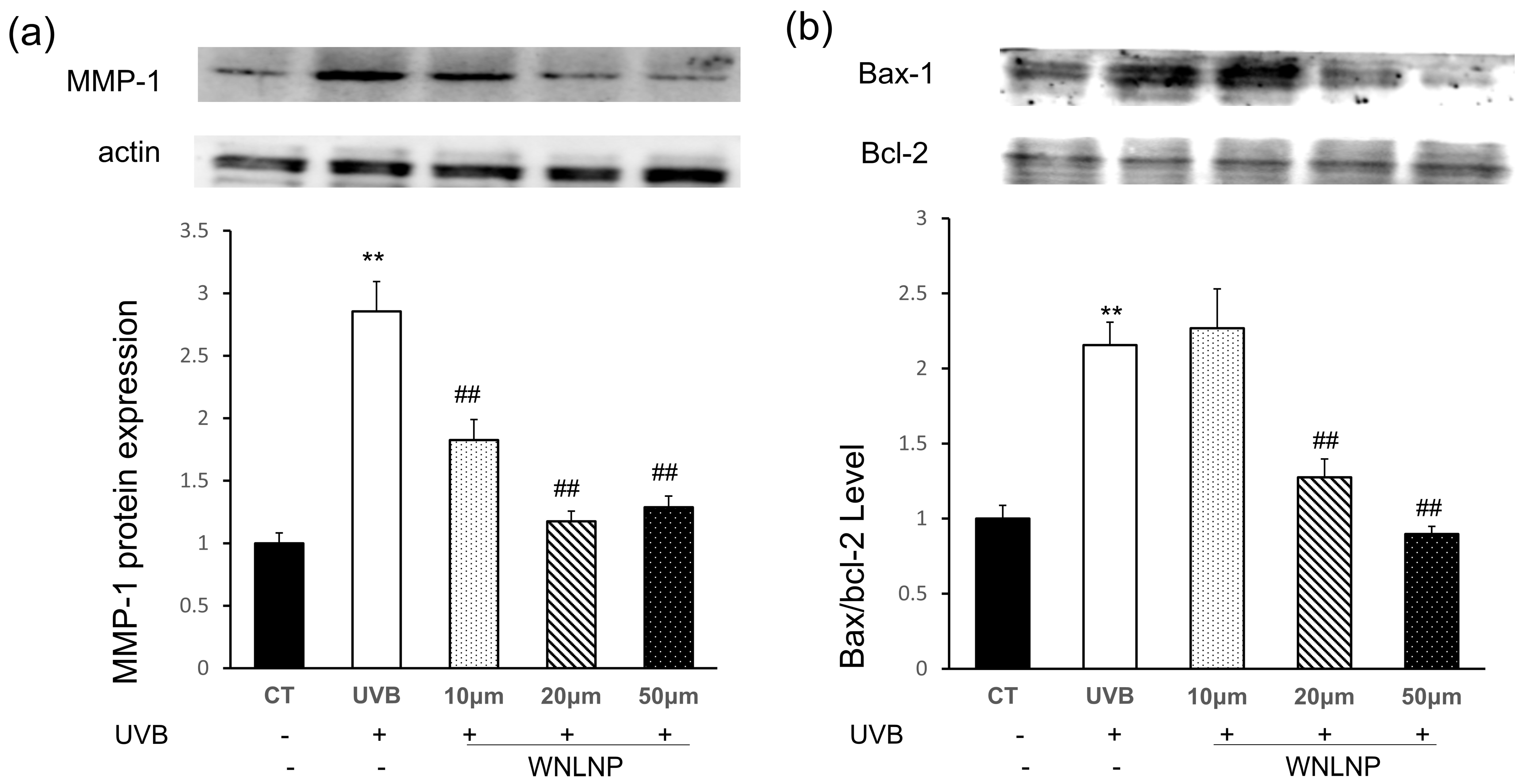 Marinedrugs 20 00749 g008 Marinedrugs 20 00749 g008