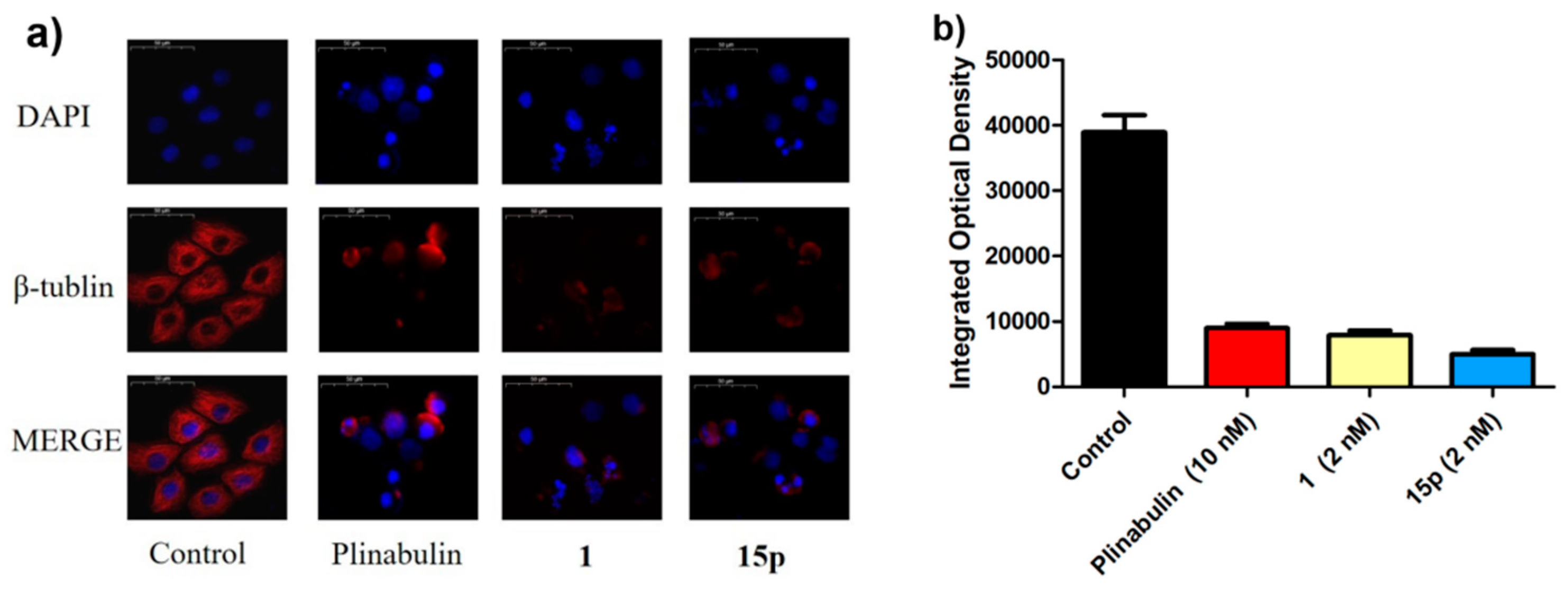 Marinedrugs 20 00752 g008