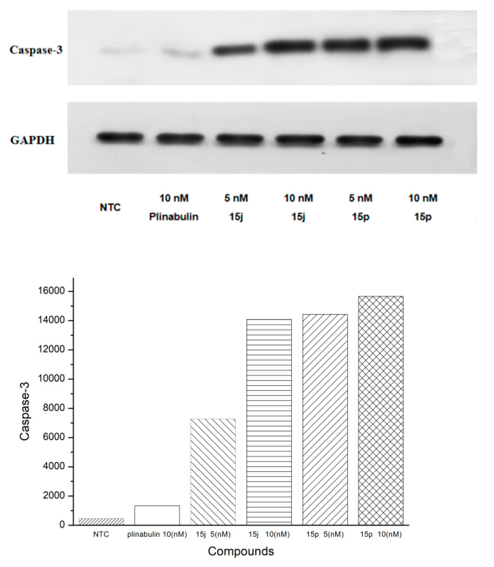 Marinedrugs 20 00752 g009