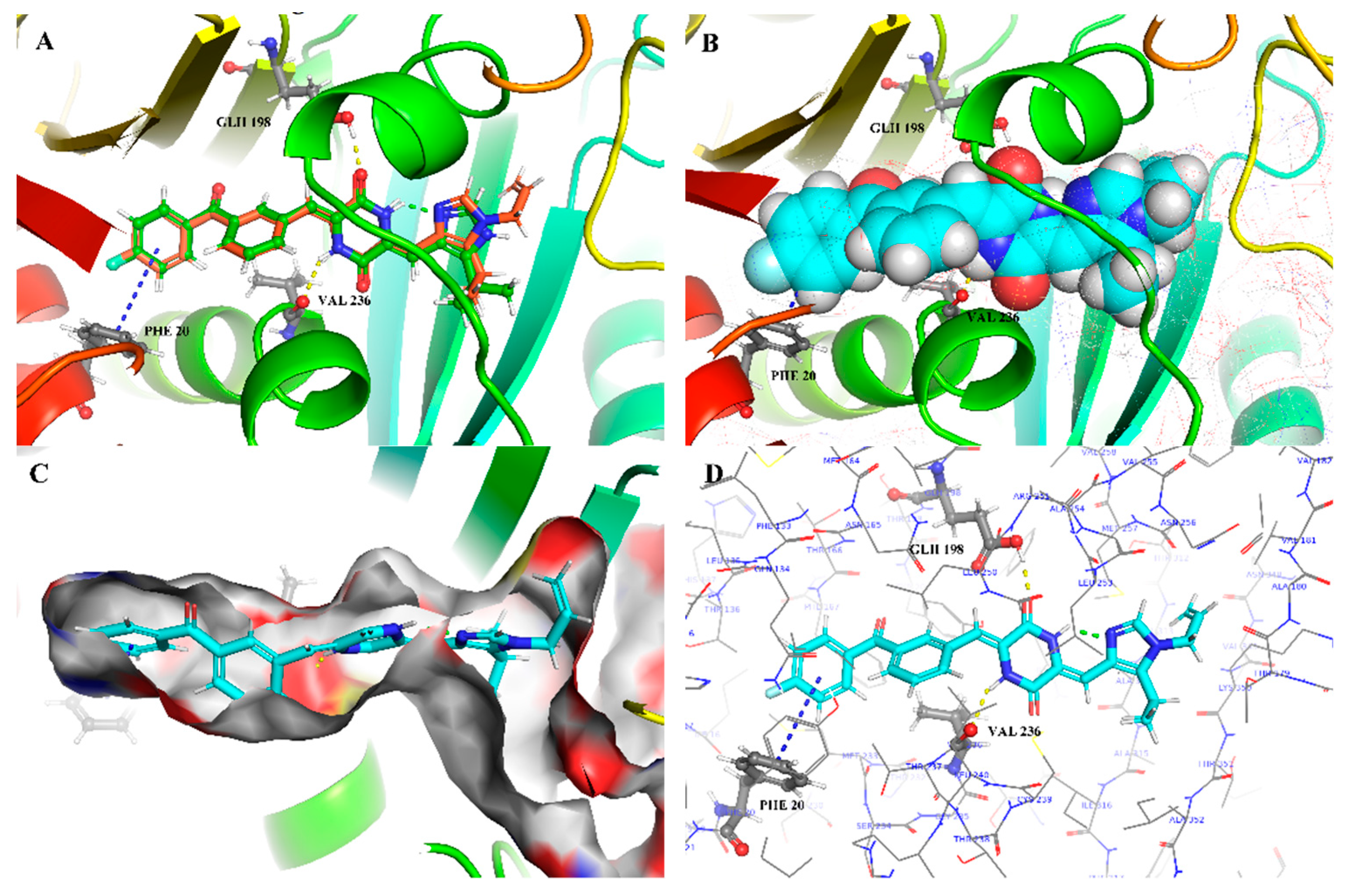 Marinedrugs 20 00752 g011