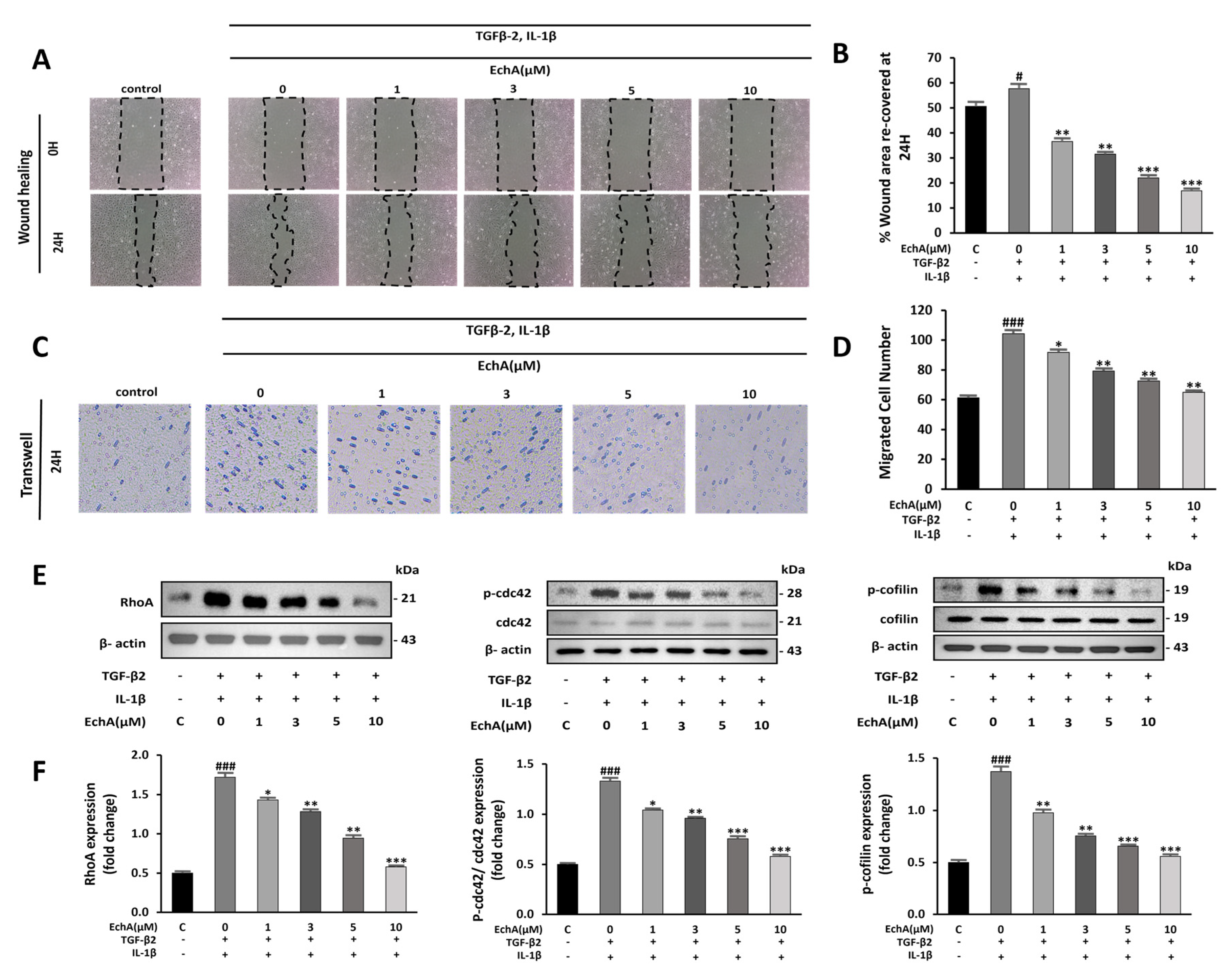 Marinedrugs 20 00756 g002