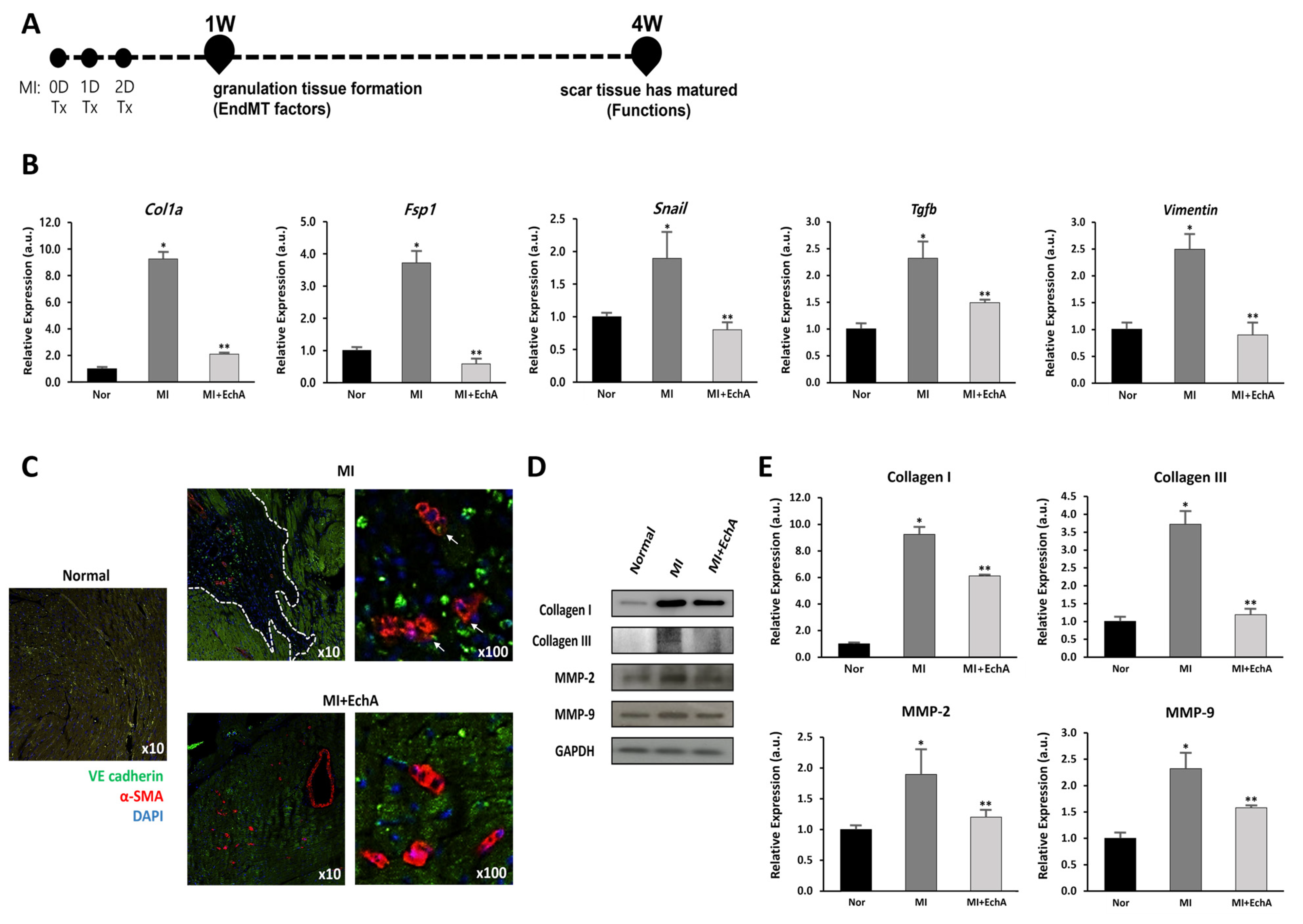 Marinedrugs 20 00756 g005