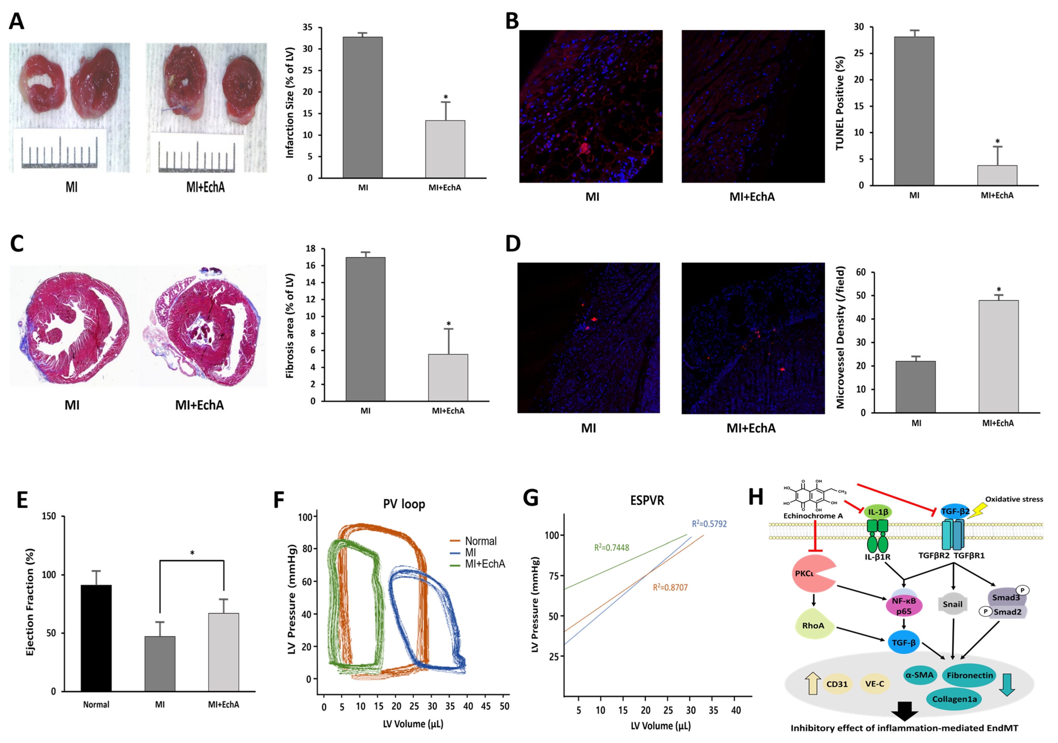 Marinedrugs 20 00756 g006
