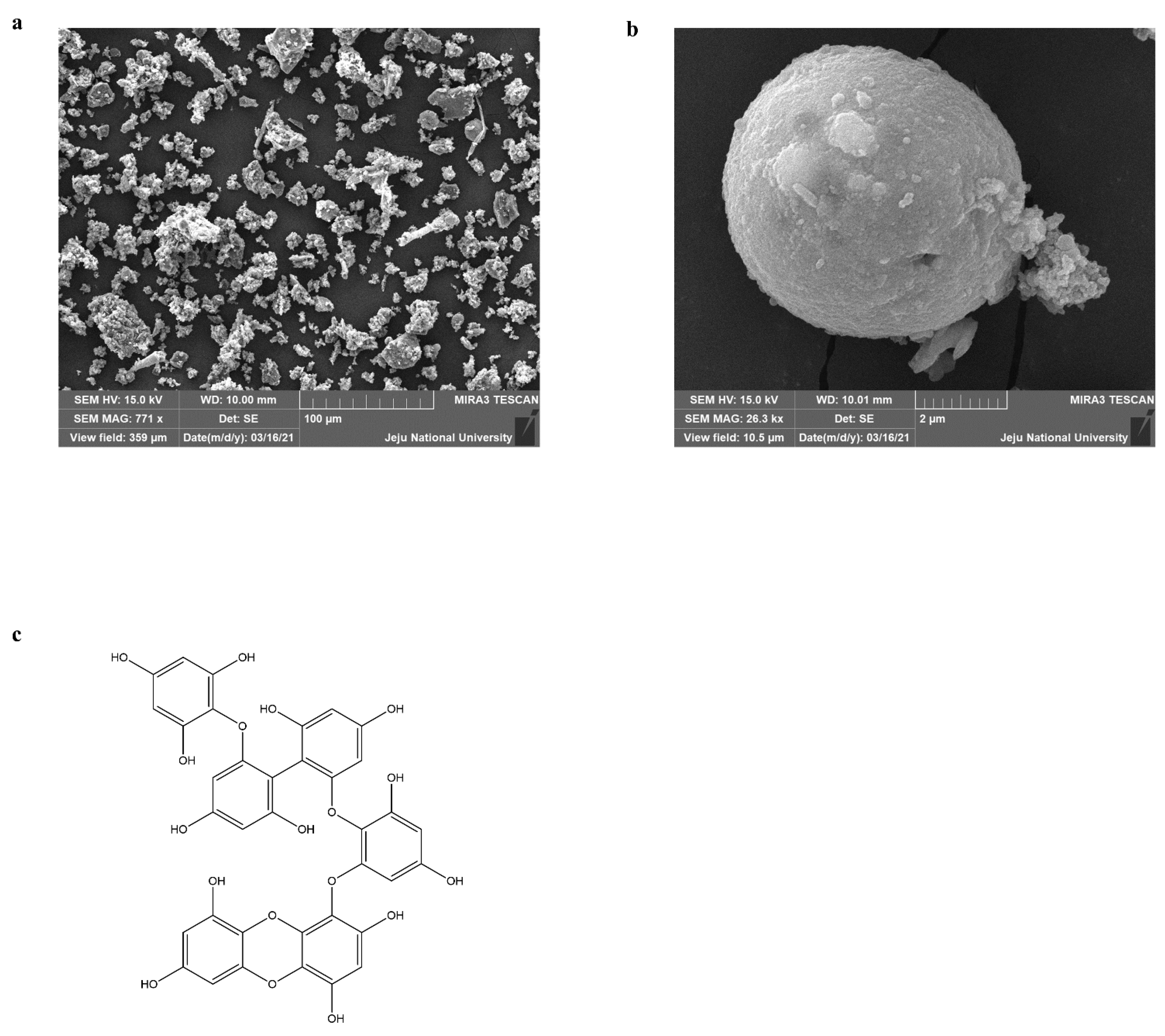 Marinedrugs 20 00766 g001