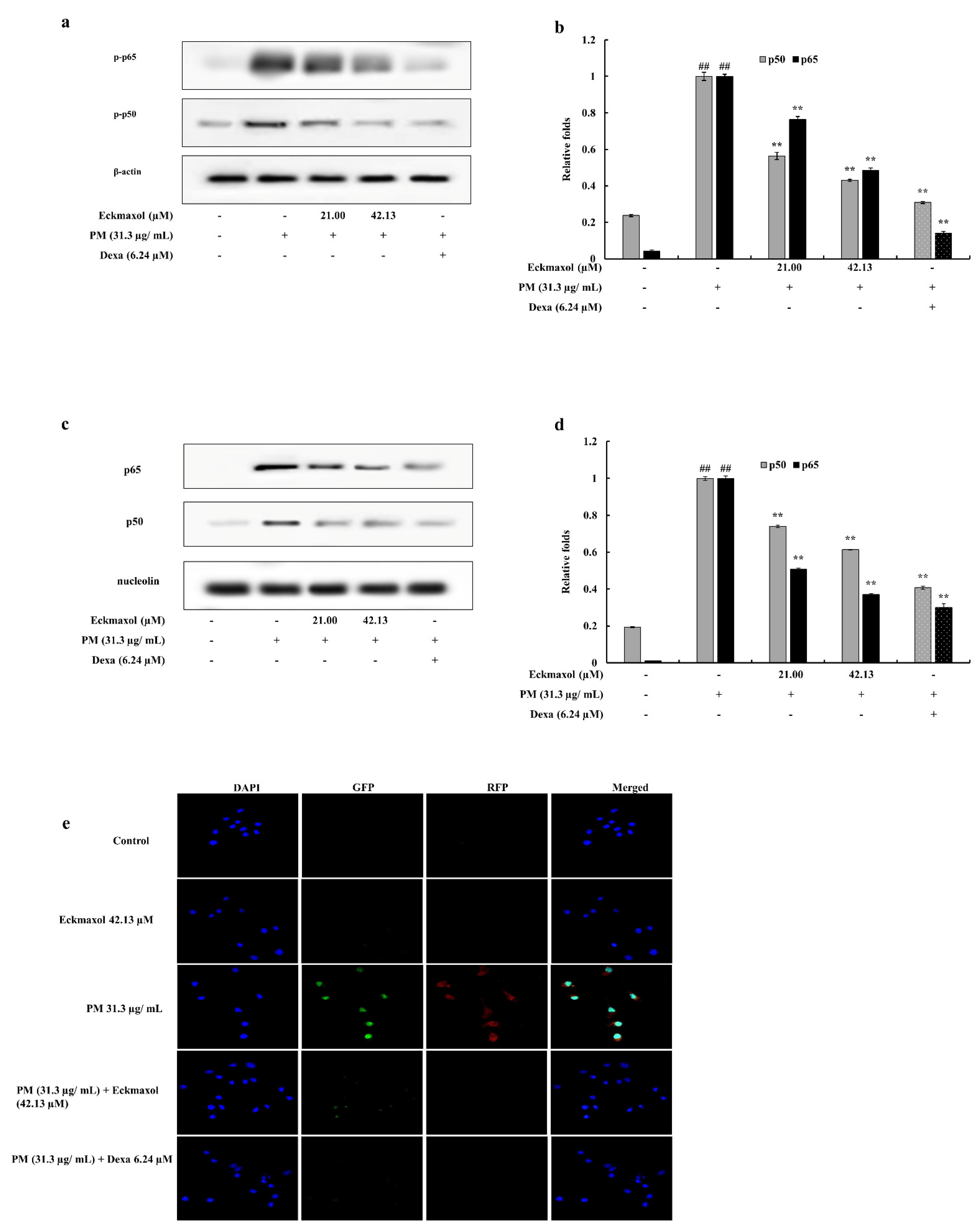 Marinedrugs 20 00766 g006