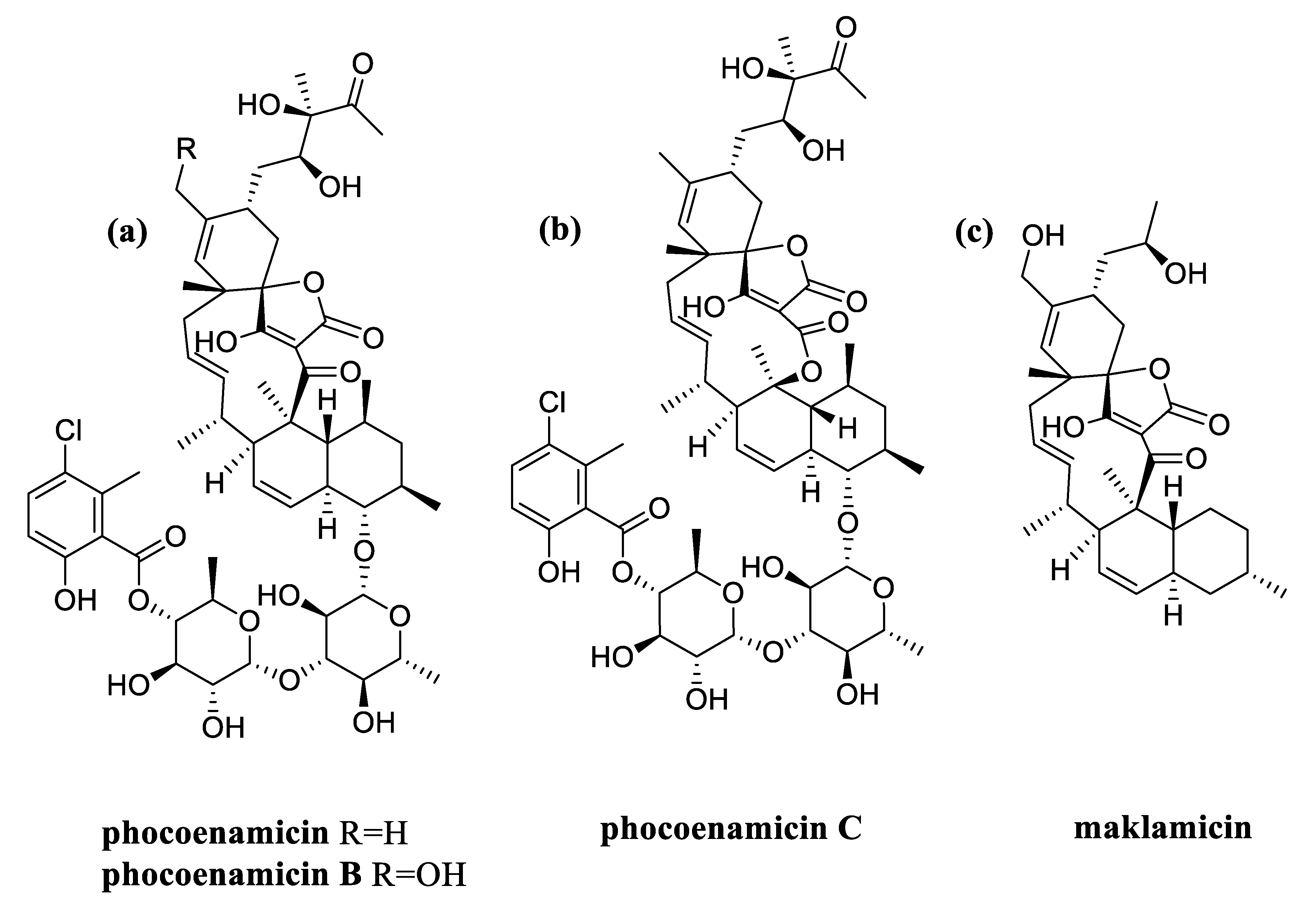 Marinedrugs 20 00769 g007 Marinedrugs 20 00769 g007