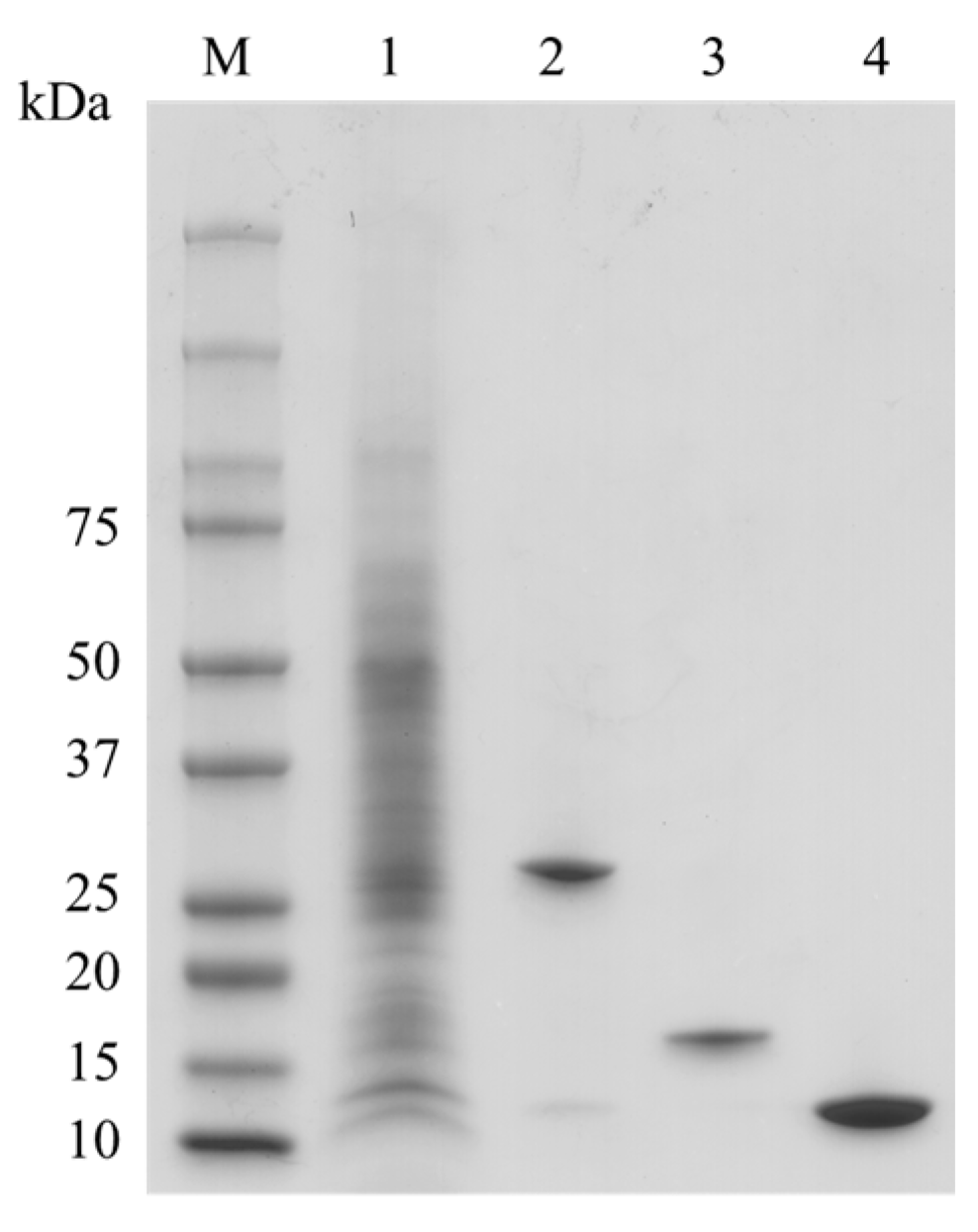 Marinedrugs 20 00776 g001 Marinedrugs 20 00776 g001